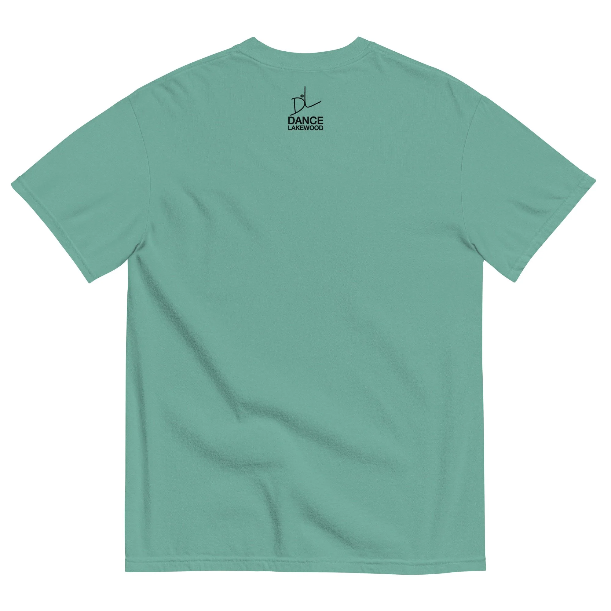unisex-garment-dyed-heavyweight-t-shirt-seafoam-back-69f6a91cbc505.jpg