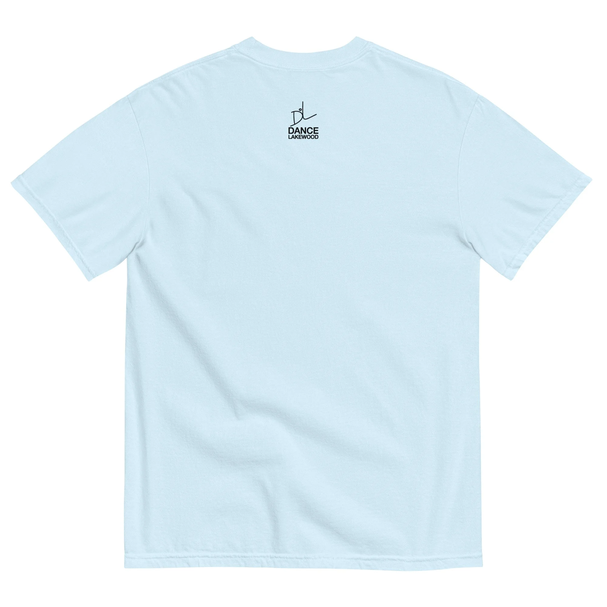 unisex-garment-dyed-heavyweight-t-shirt-chambray-back-6a08d1ff6847f.jpg