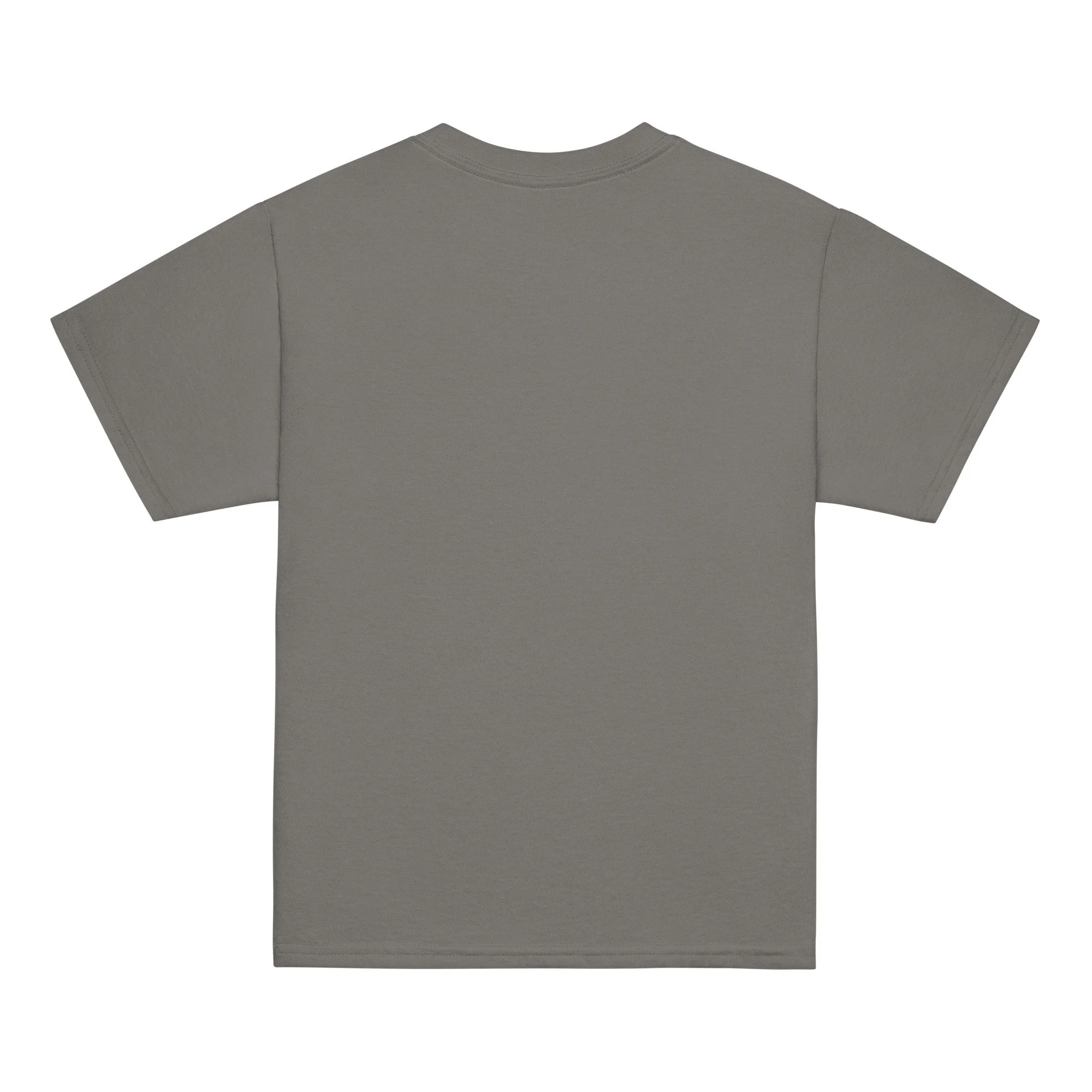 youth-classic-tee-charcoal-back-6a8b9d6e14a88.jpg