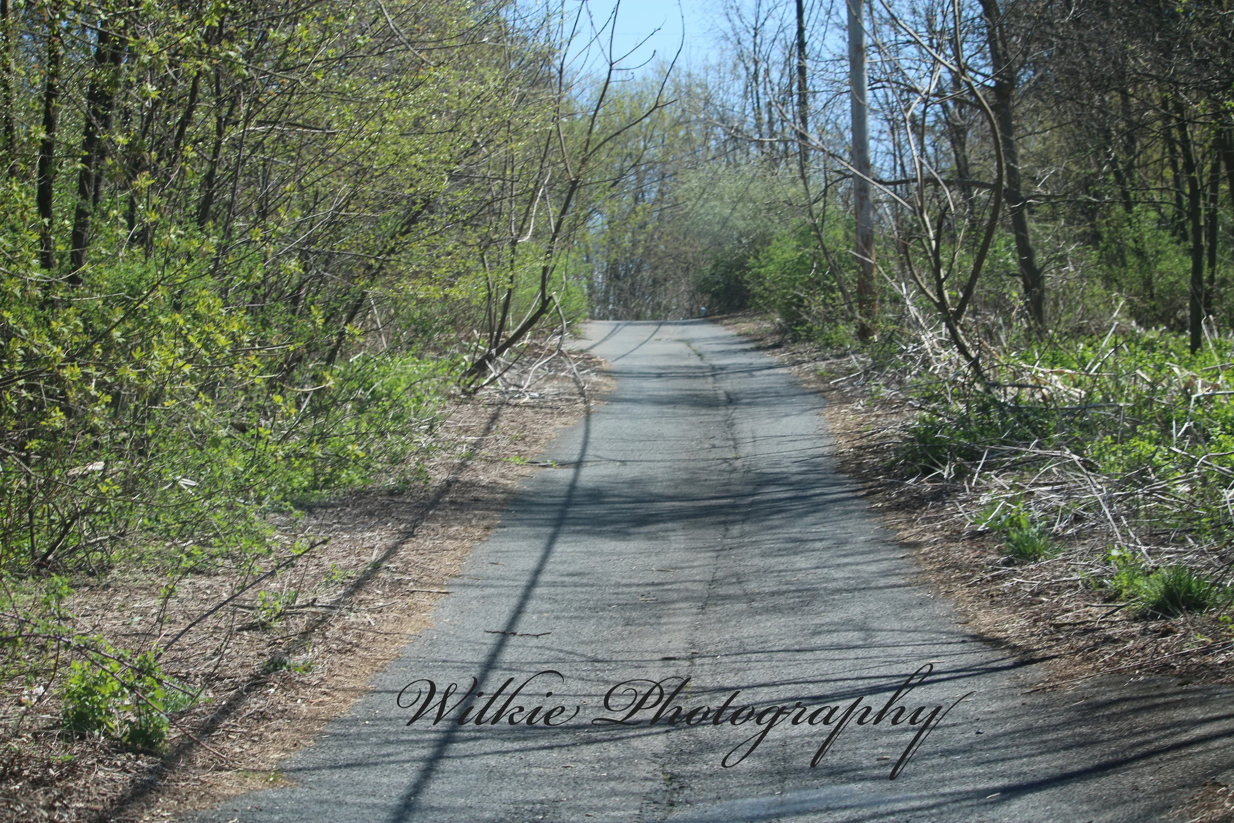 Centralia Pa.
