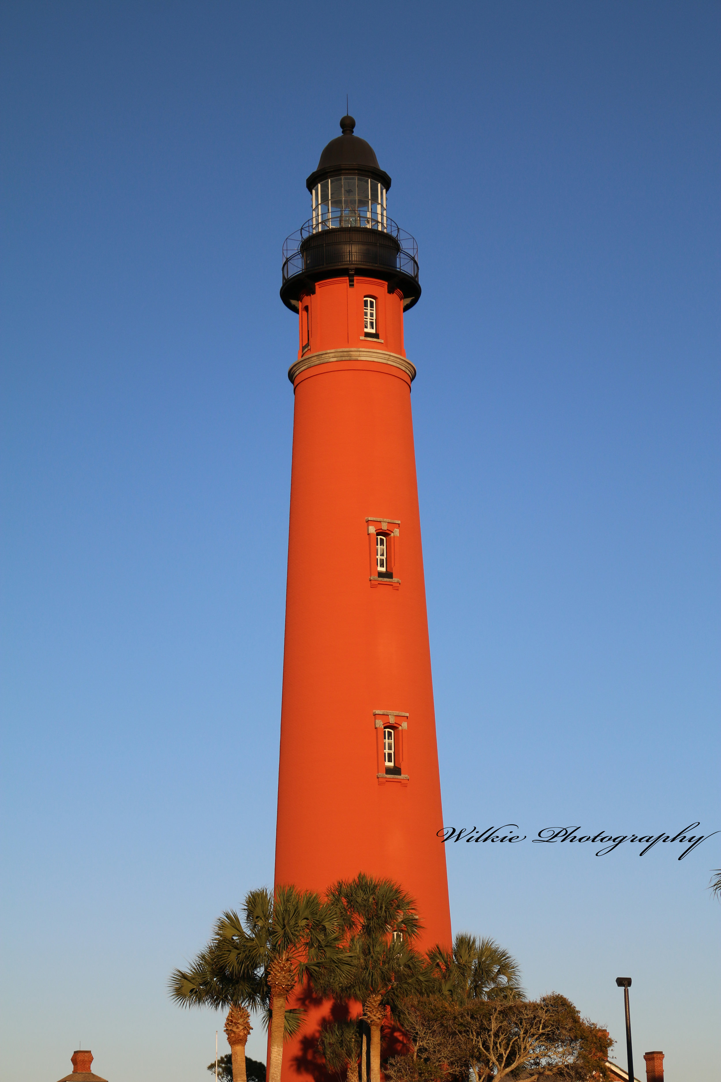 IMG_1247w.jpg