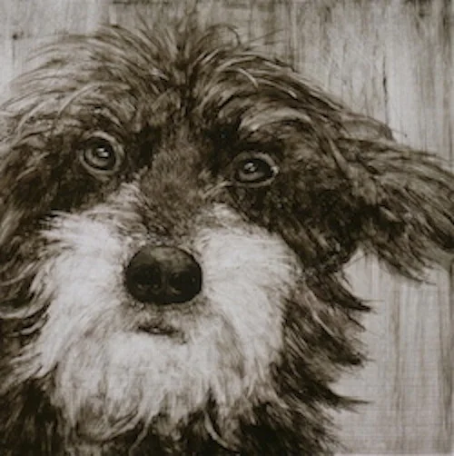 Rosco