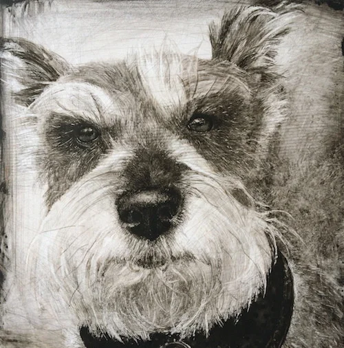 Commissioned portrait
