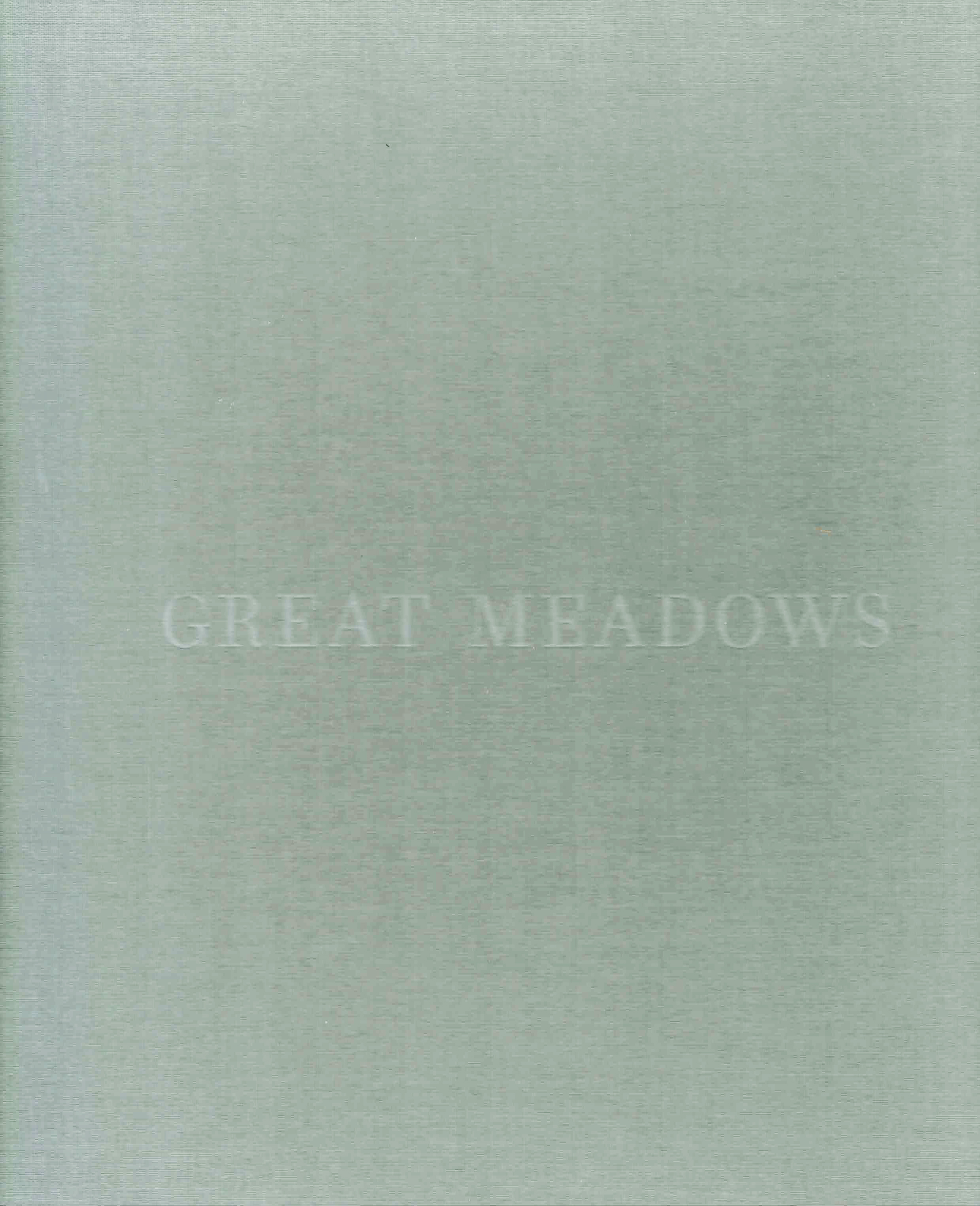 GREAT MEADOWS: THE MAKING OF HERE  06/14