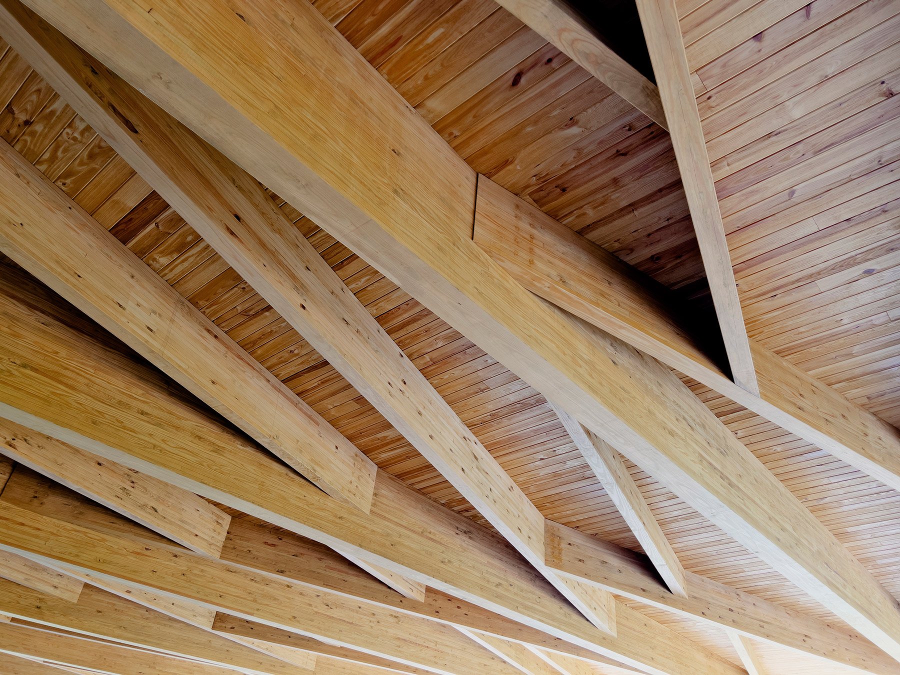 locust-grove-pavilion-interior-canopy-glulam-wood-structure-ceiling-pattern-louisville-dpaw.jpg
