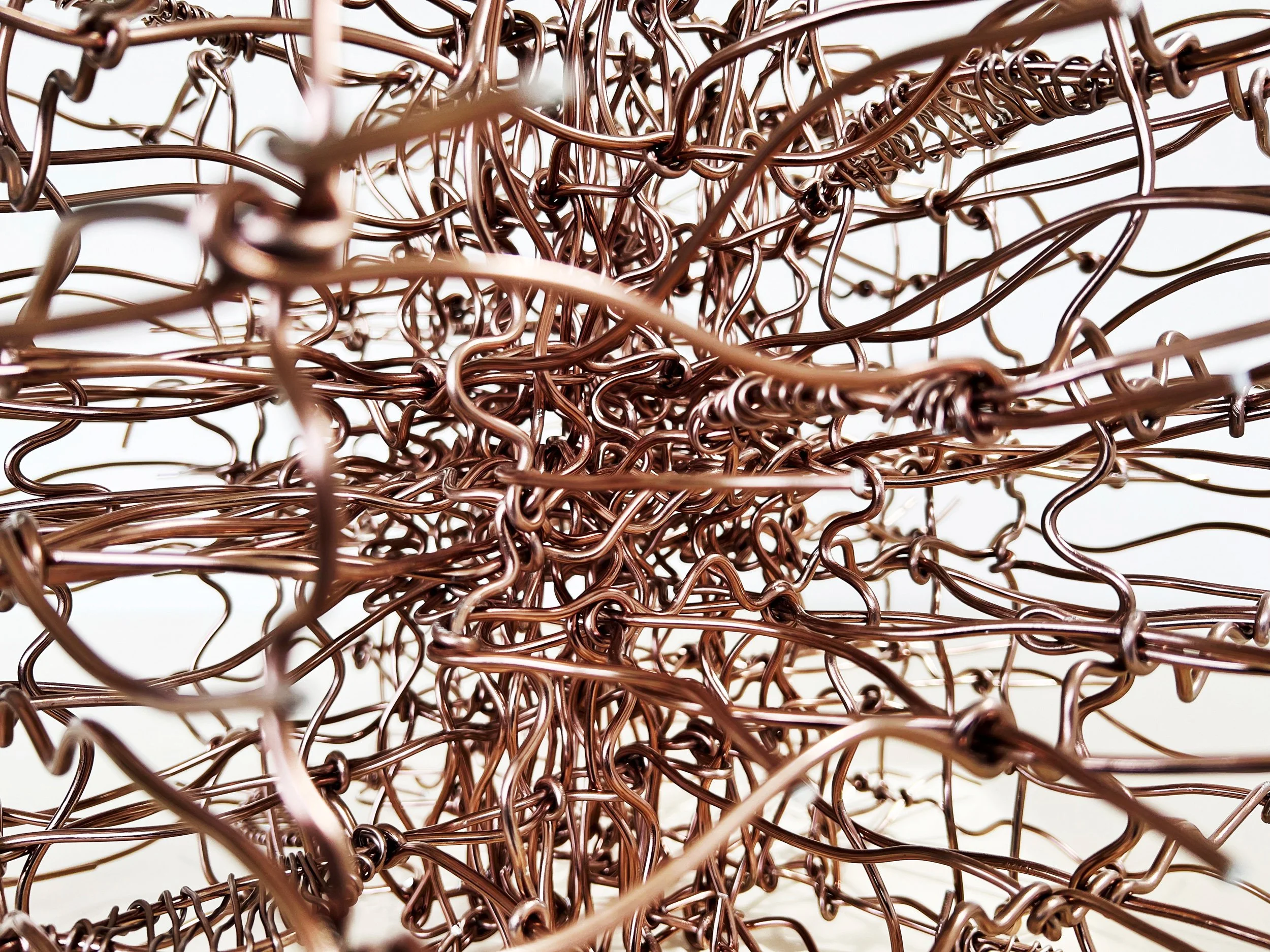 birdsong-brackenridge-birdhouse-exhibit-detail-copper-bonsai-wire-brackenridge-park-mcnay-art-museum-san-antonio-texas-deleon-primmer-dpaw.jpg