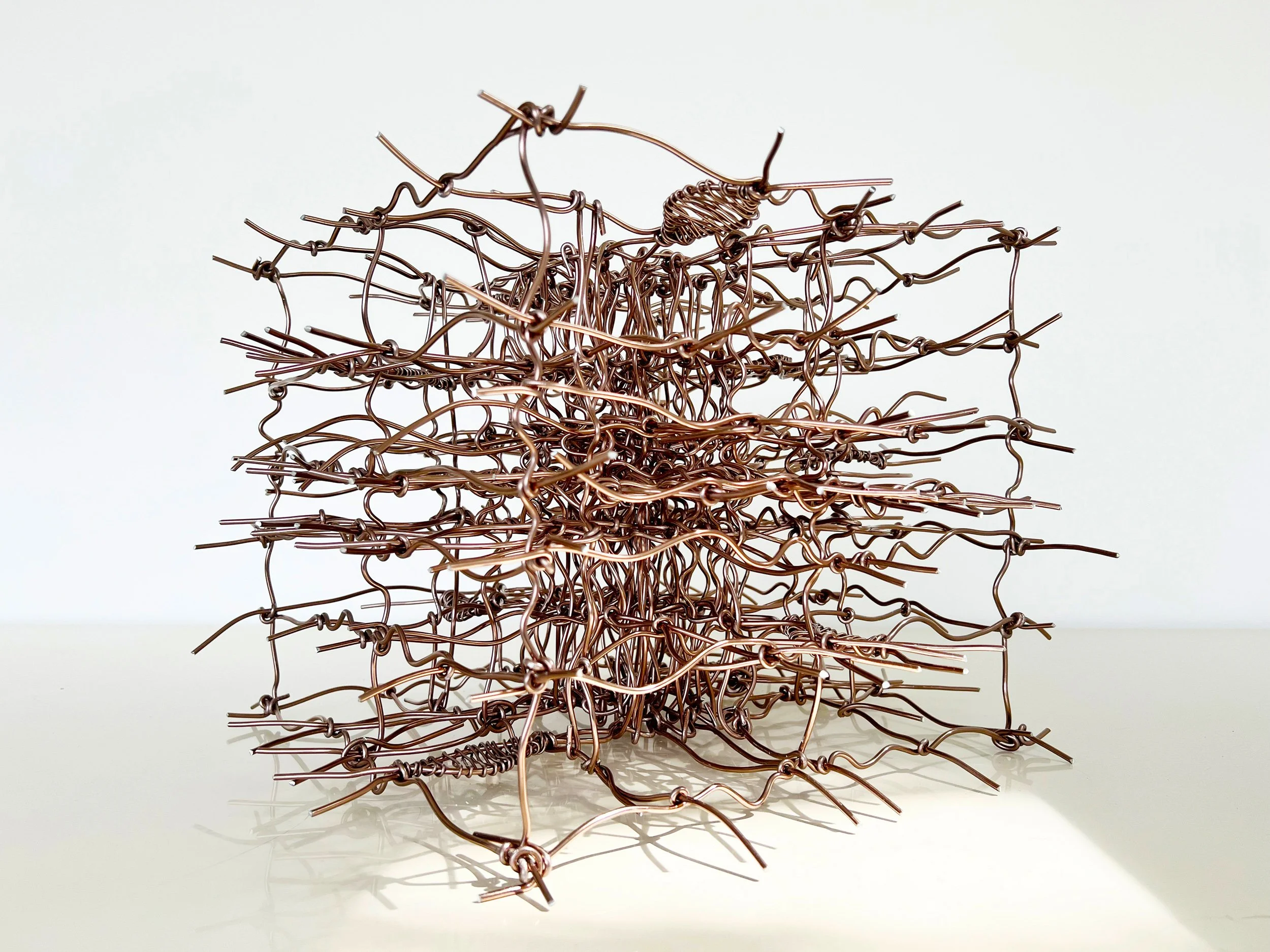 birdsong-brackenridge-birdhouse-exhibit-copper-bonsai-wire-grid-brackenridge-park-mcnay-art-museum-san-antonio-texas-deleon-primmer-dpaw.jpg