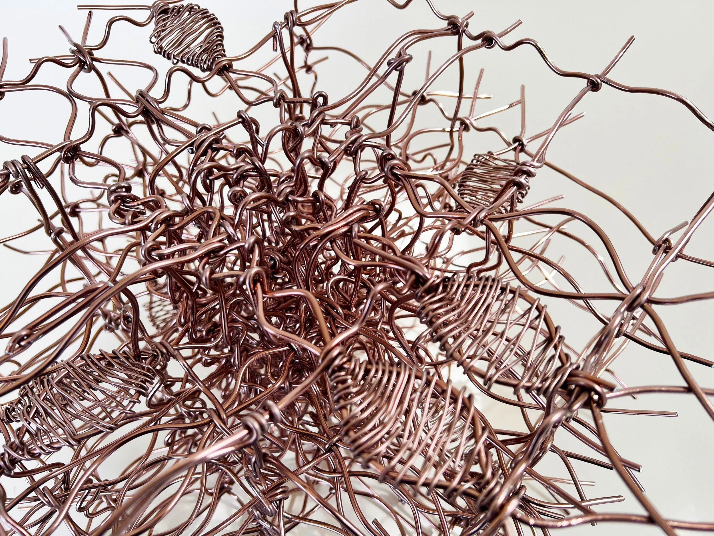 birdsong-brackenridge-birdhouse-exhibit-detail2-copper-bonsai-wire-brackenridge-park-mcnay-art-museum-san-antonio-texas-deleon-primmer-dpaw.jpg