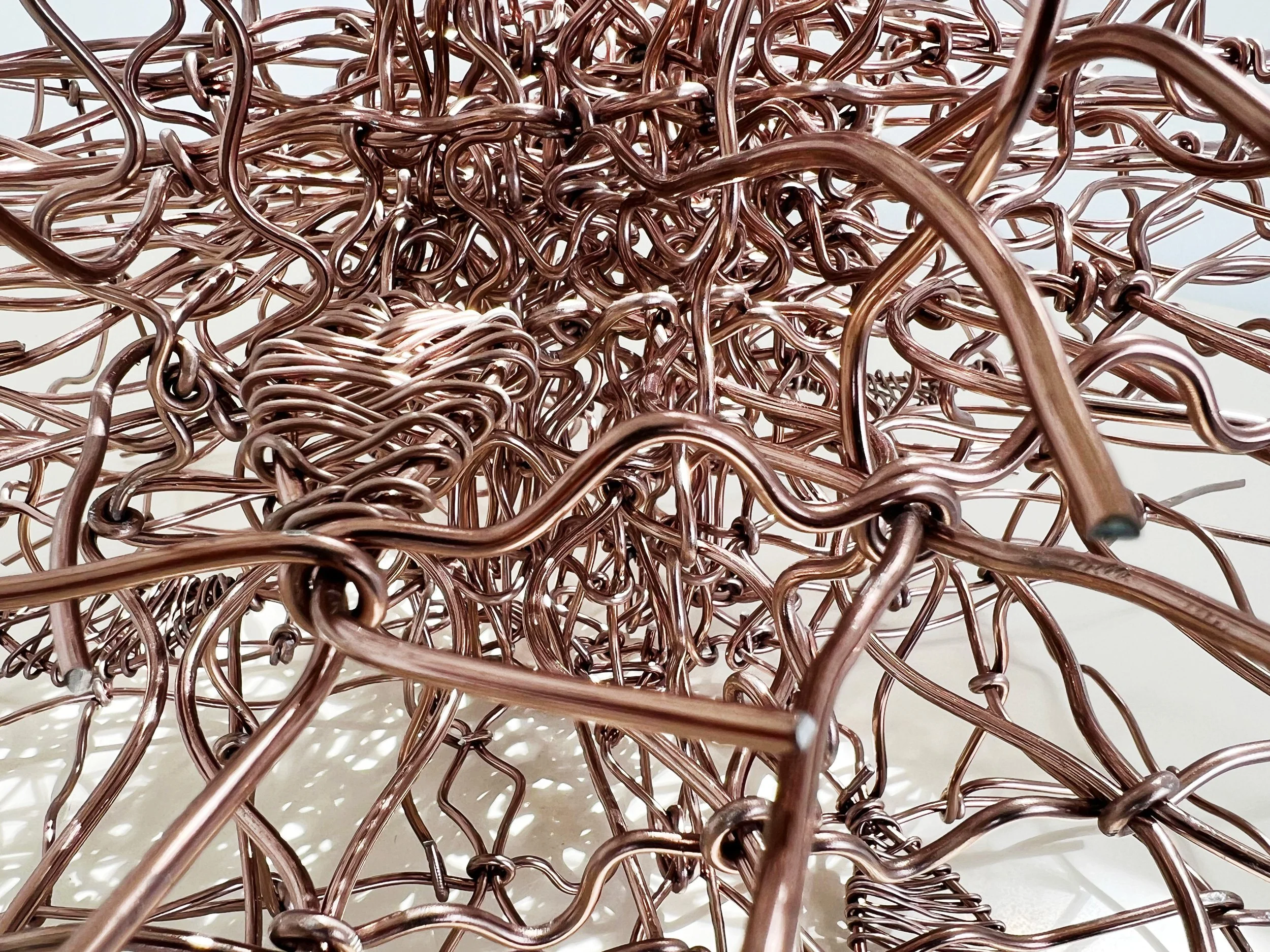 birdsong-brackenridge-birdhouse-exhibit-detail3-copper-bonsai-wire-brackenridge-park-mcnay-art-museum-san-antonio-texas-deleon-primmer-dpaw.jpg