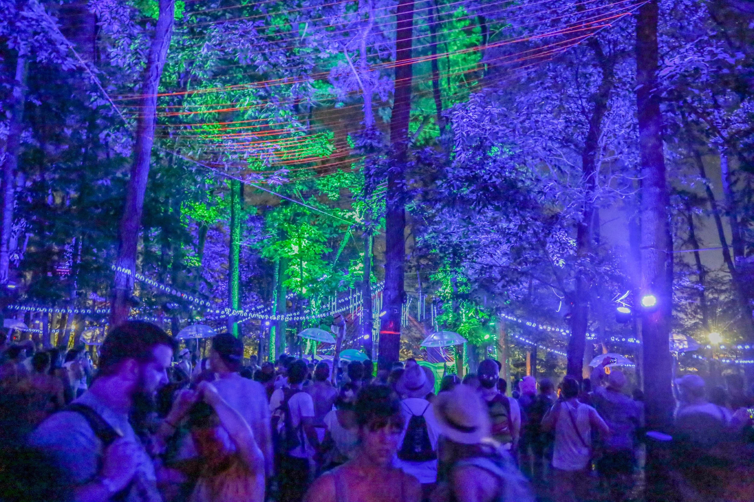 2 Bonnaroo.jpg