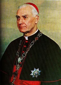d981e71cc735dc7064ca83961424bf74--kardinal-maximilian.jpg