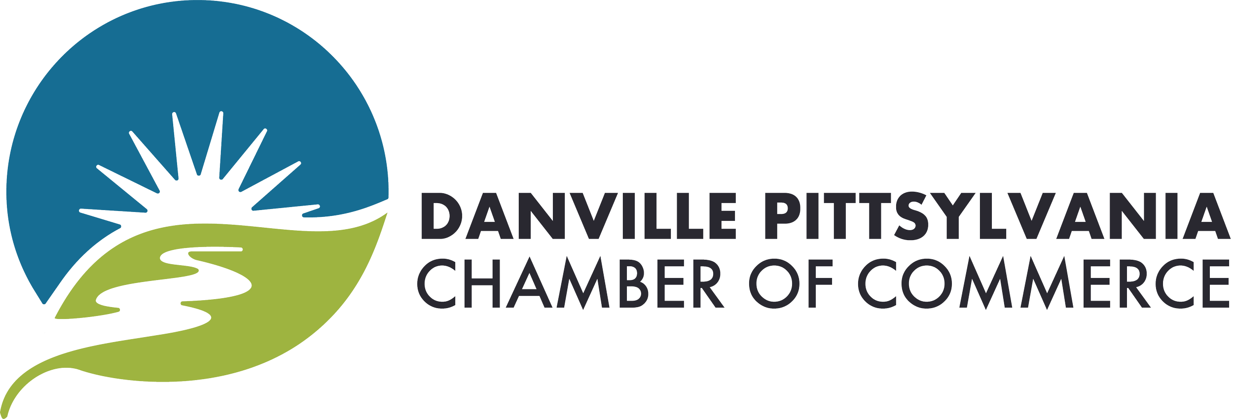 DPC_Logo_Horizontal (1).png