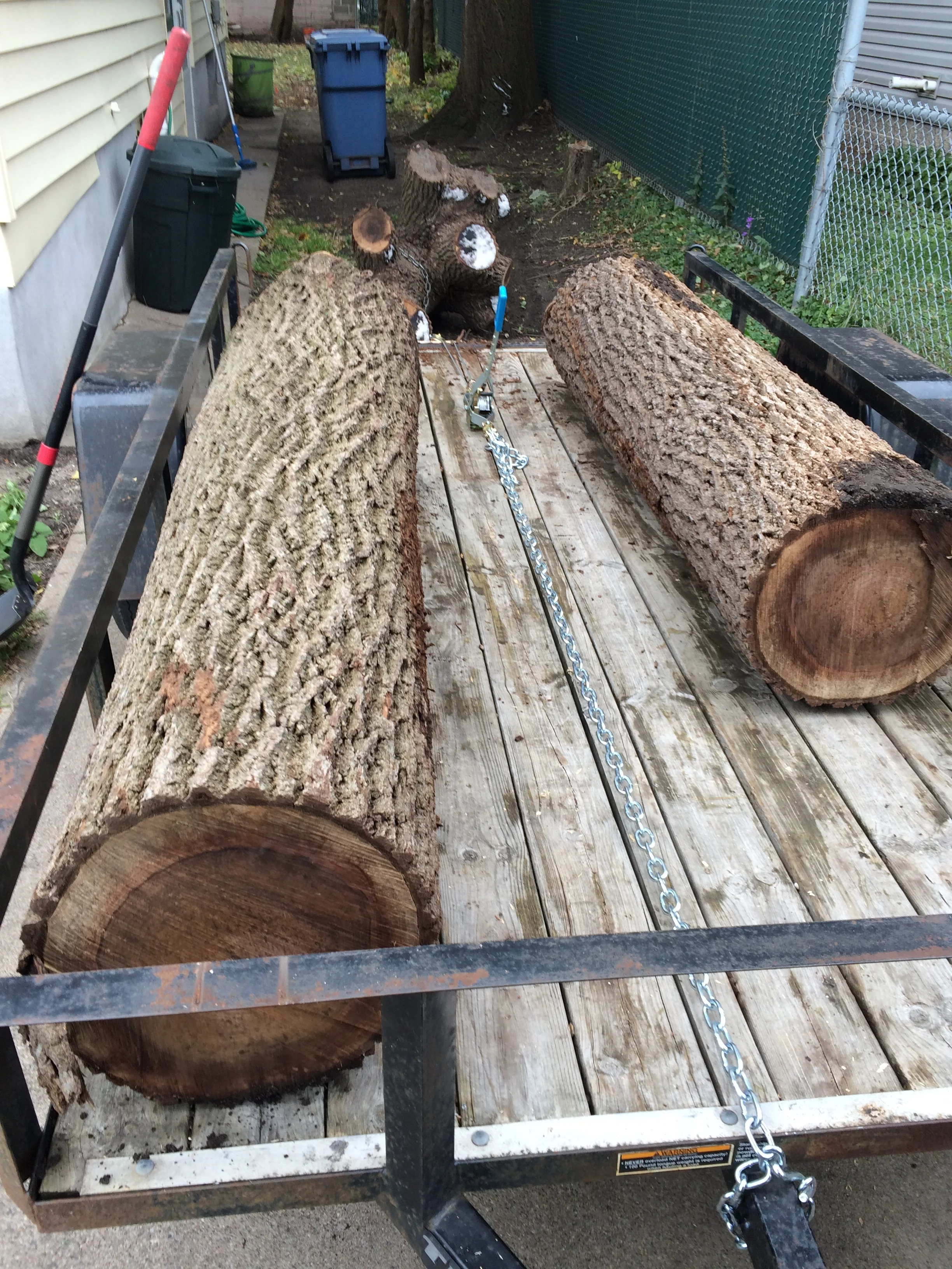 The Tree and the Table