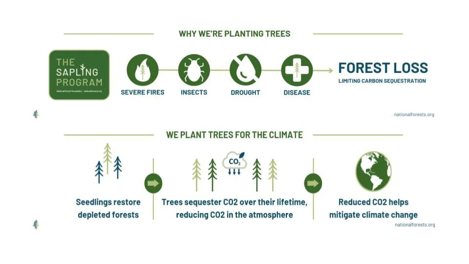 National Forest Foundation logo