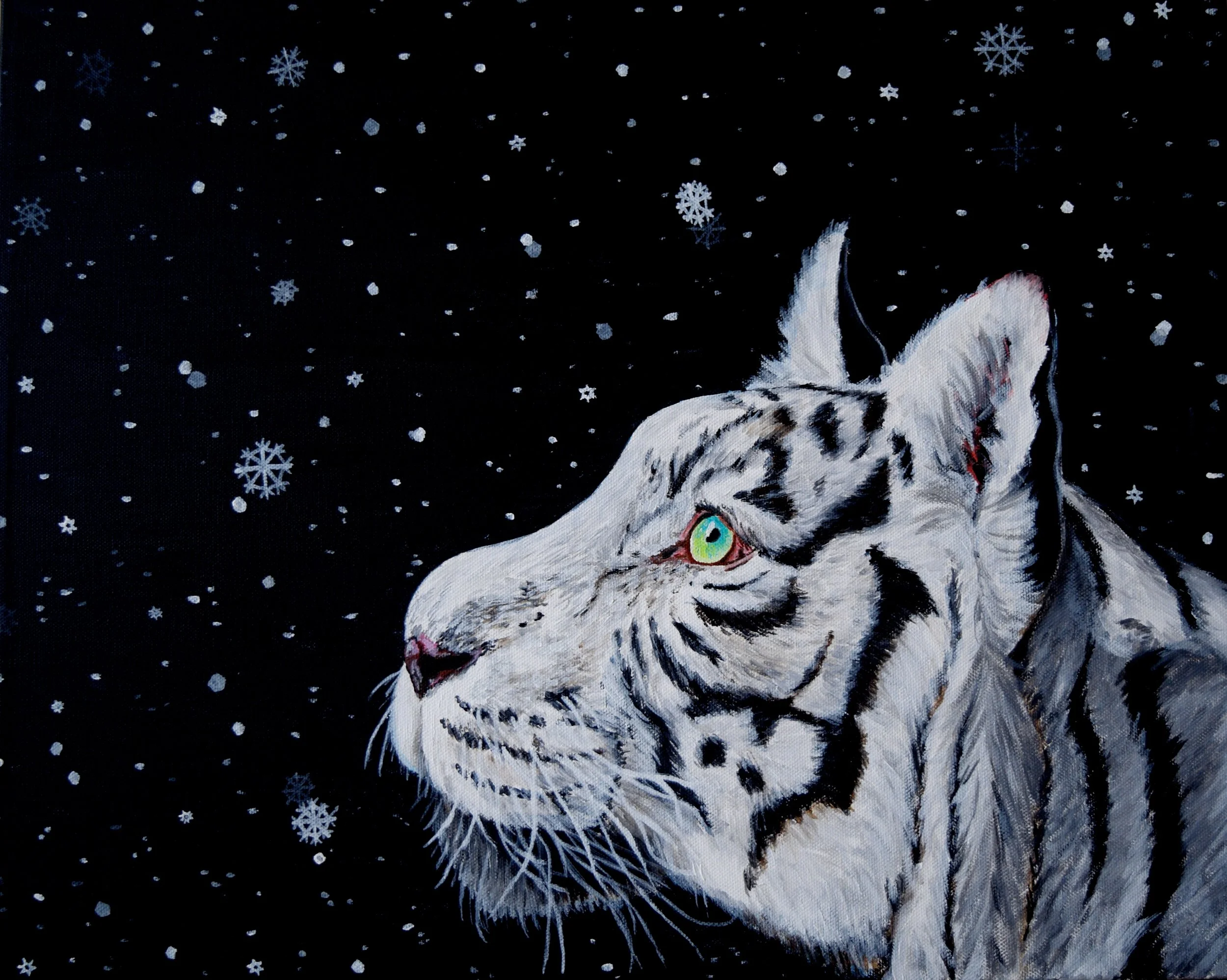 Tiger (2016)