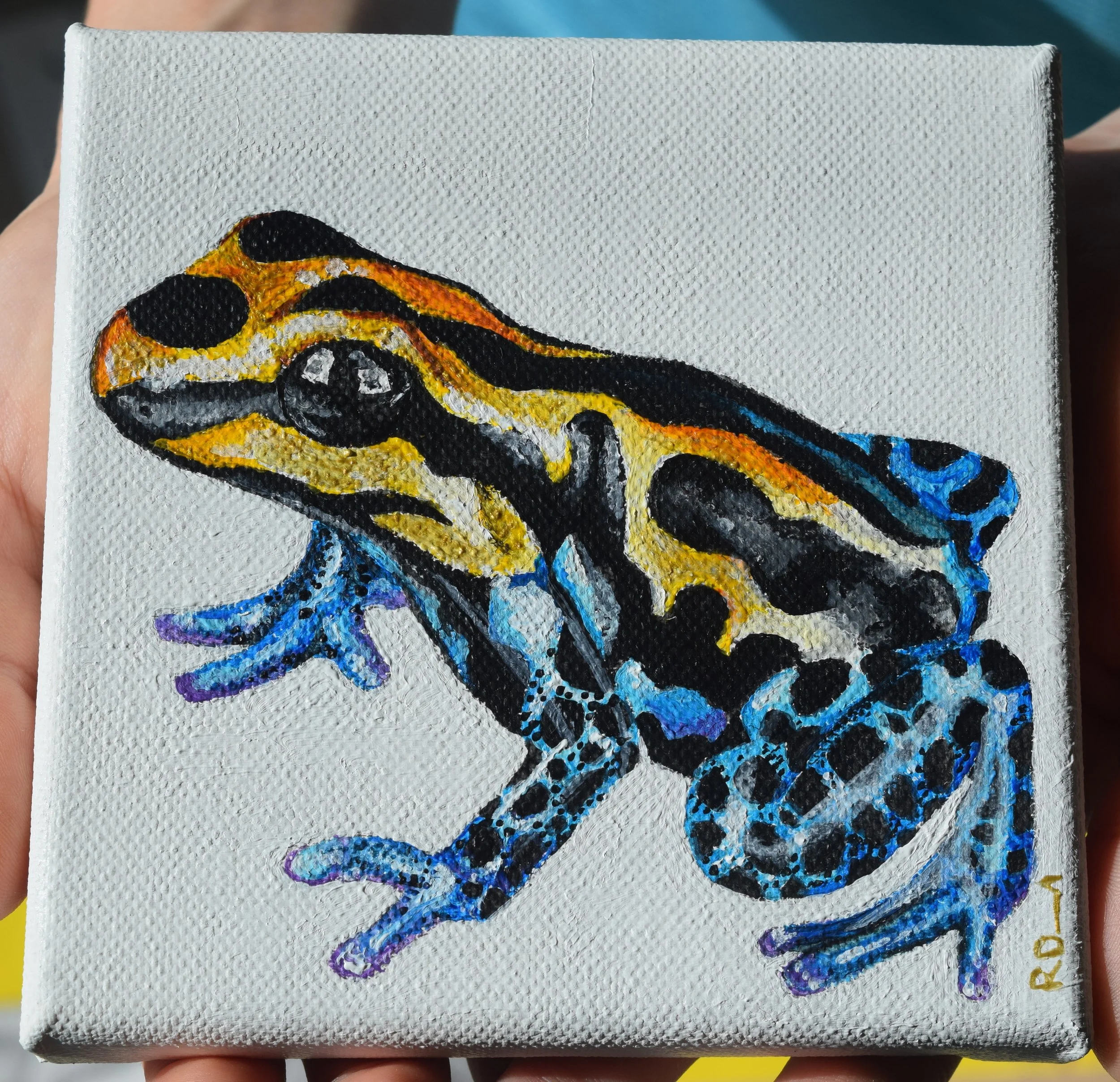 Poison Arrow Frog (2017)