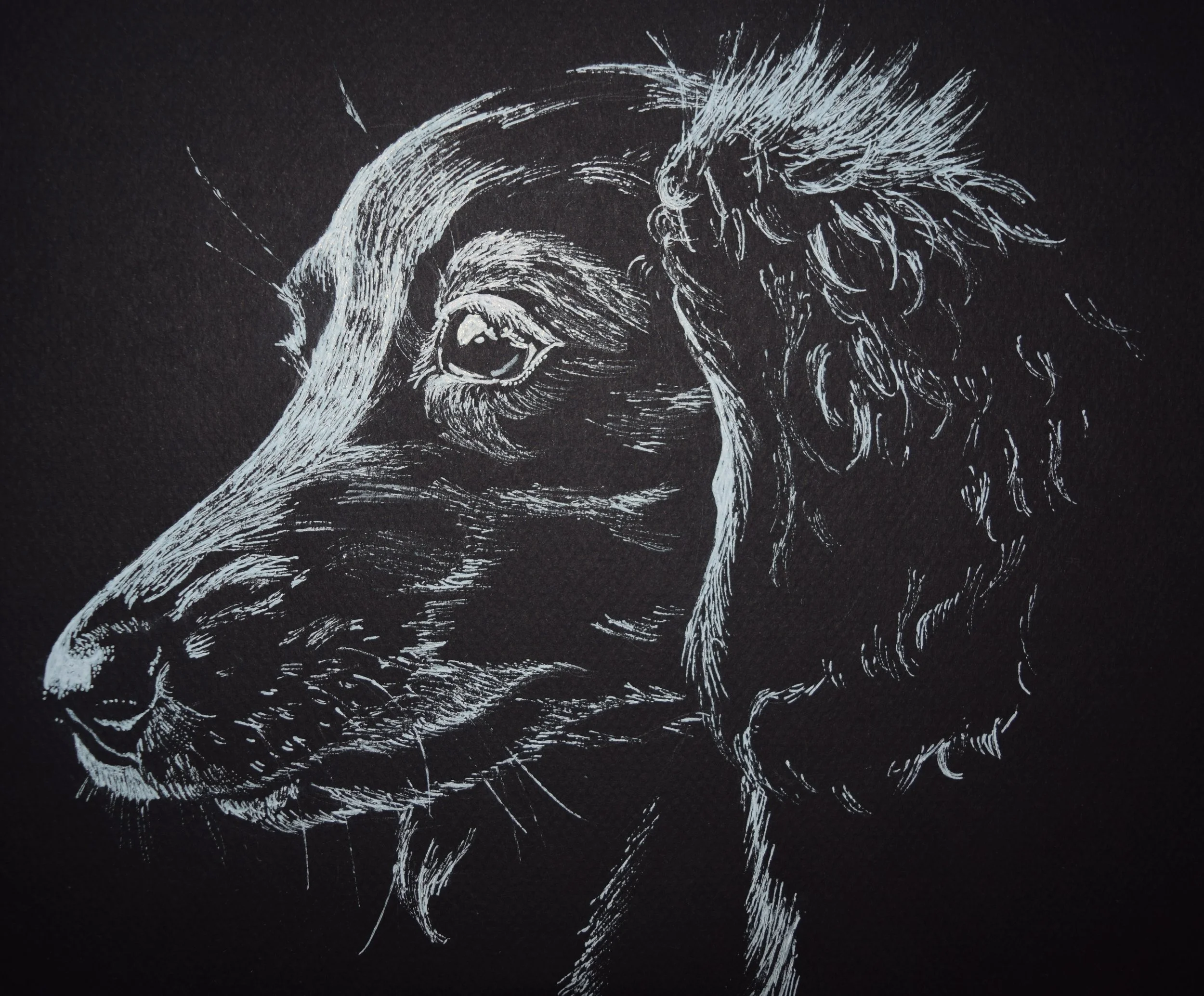 Dog (2016)