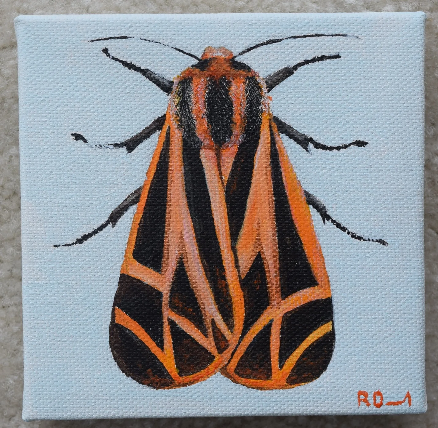 Tiger Moth (2018)