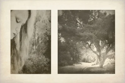 would there be trees if we didn't see them.jpg