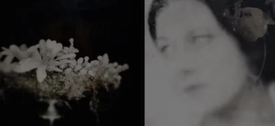 9A79F017-0451-4398-AD42-31D1E6E318E2.jpeg