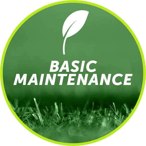   Starting at only $125 PER MONTH *  Basic maintenance will include the following: your lawn will be cut, all your hardscapes edged, weed eat the areas on your property to include your lanai, home only, pumps and boxes. Final blow your property clean