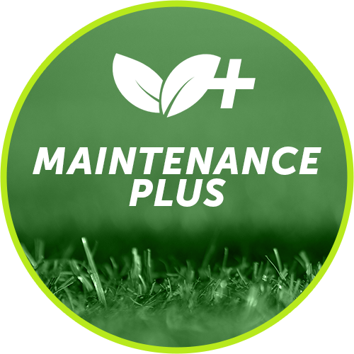   Starting at $175 PER MONTH *  Maintenance plus will include all the benefits of "Basic Maintenance" and "Maintenance Preferred.” It will also include irrigation wet checks and basic replacement of broken components such as sprinkler heads and sprin