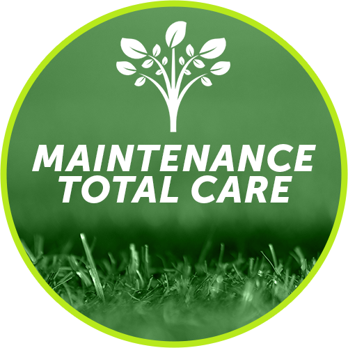   Starting at $225 PER MONTH *  The total care is just that. Everything in the above mentioned packages with your shrubs and hedges as well as select palm trees that are below 12 feet trimmed to your liking (within health guidelines for your foliage)