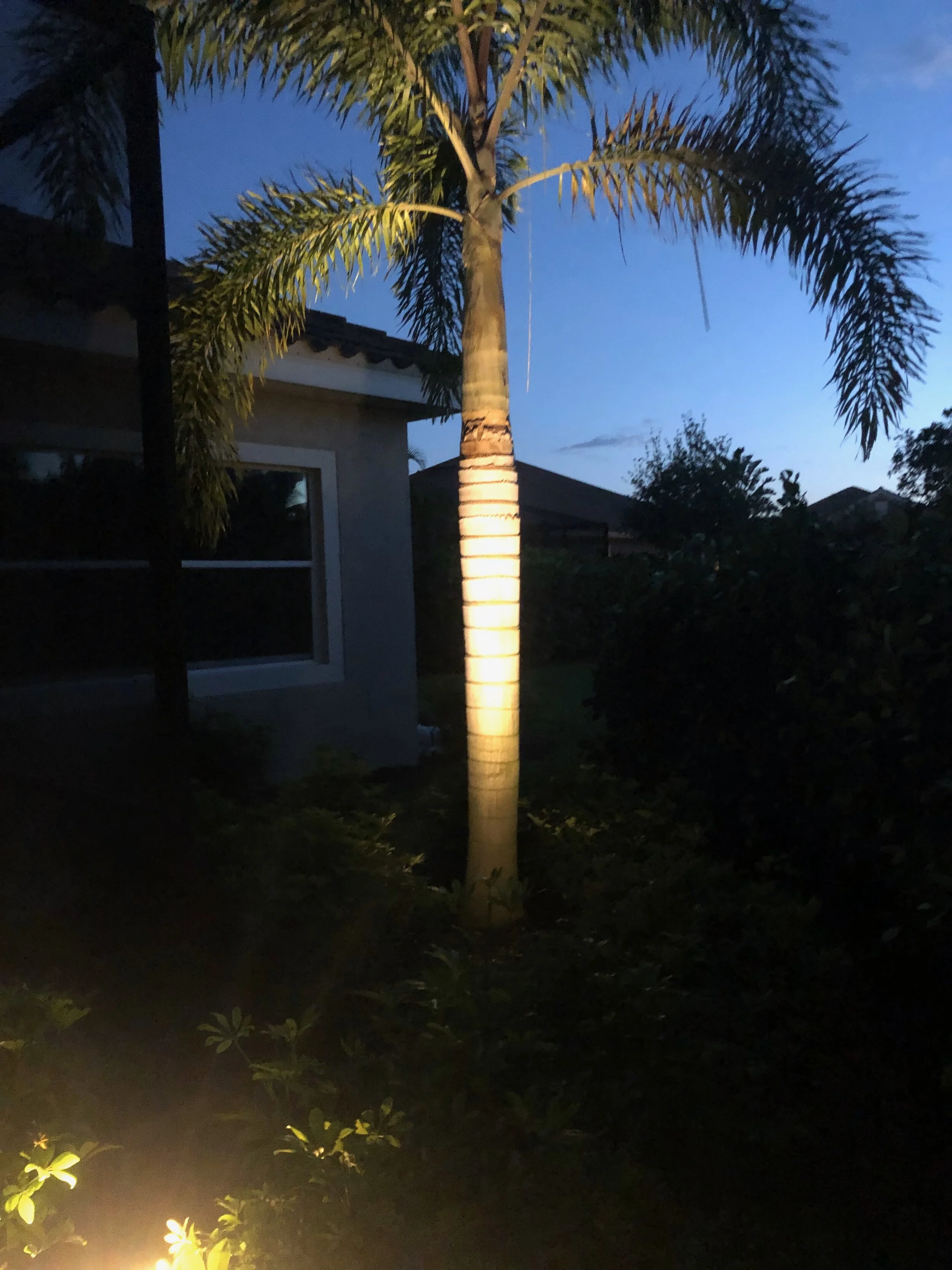 IMG_4950.jpeg