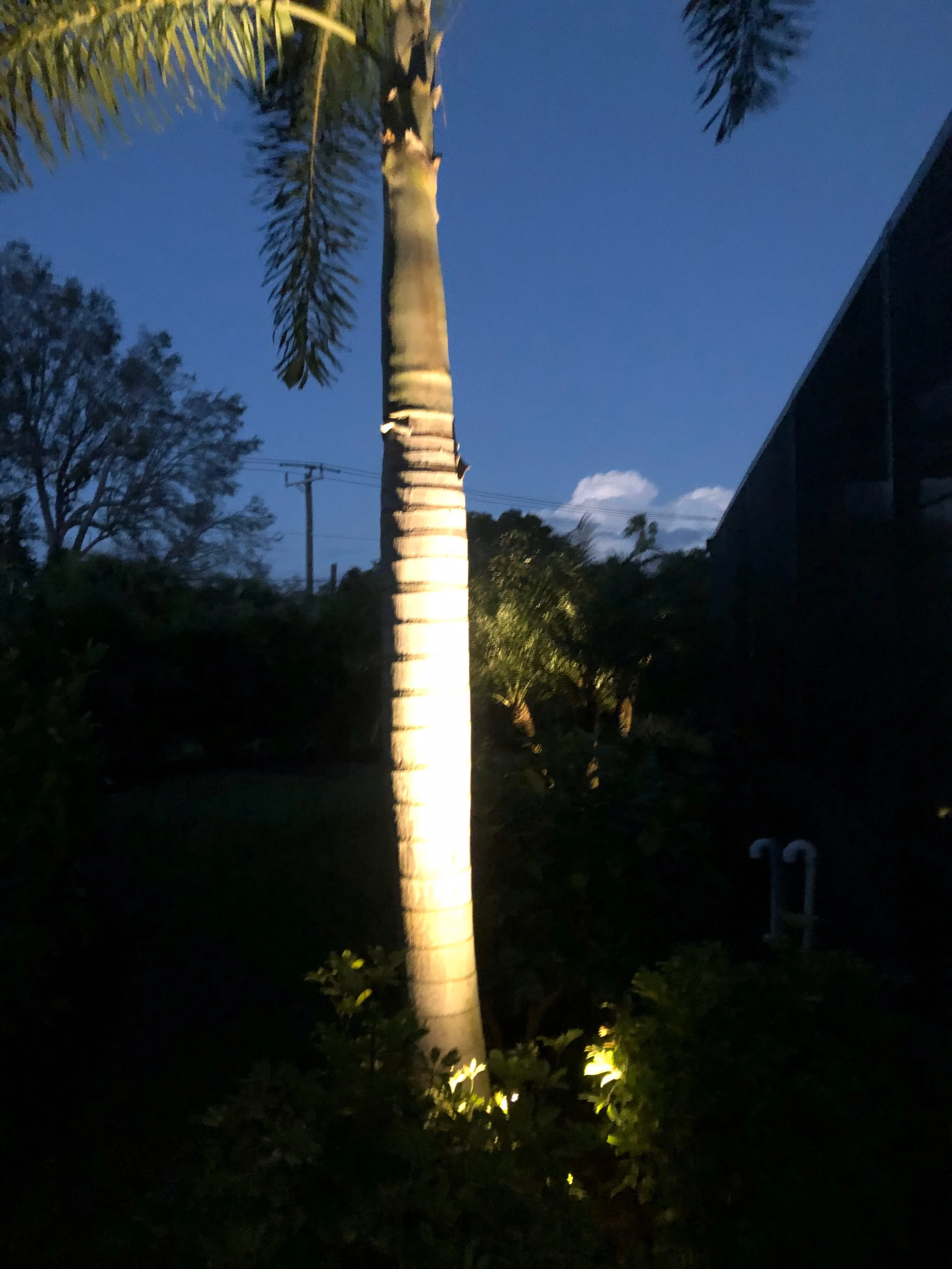 IMG_4951.jpeg