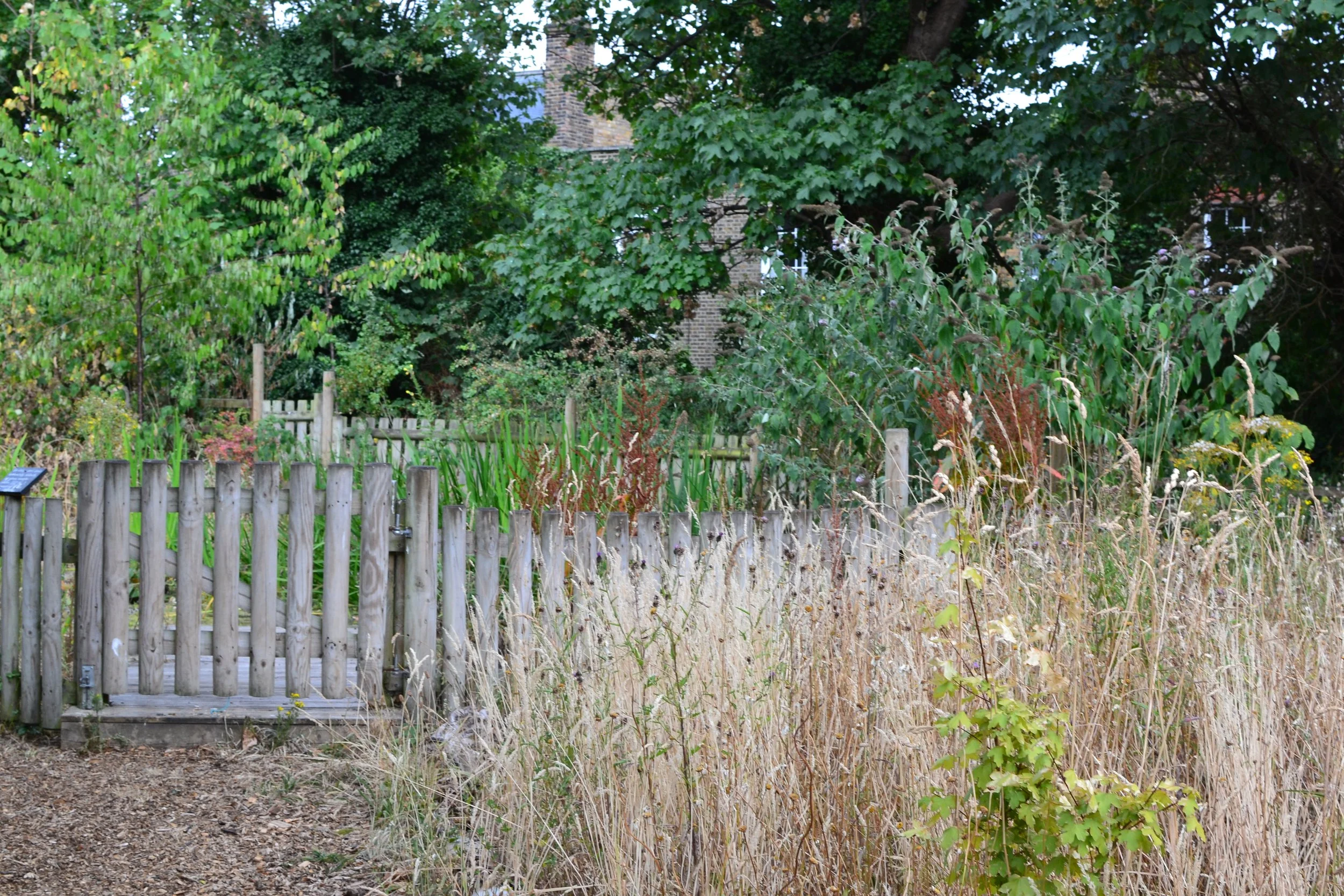 DSC_1268.JPG