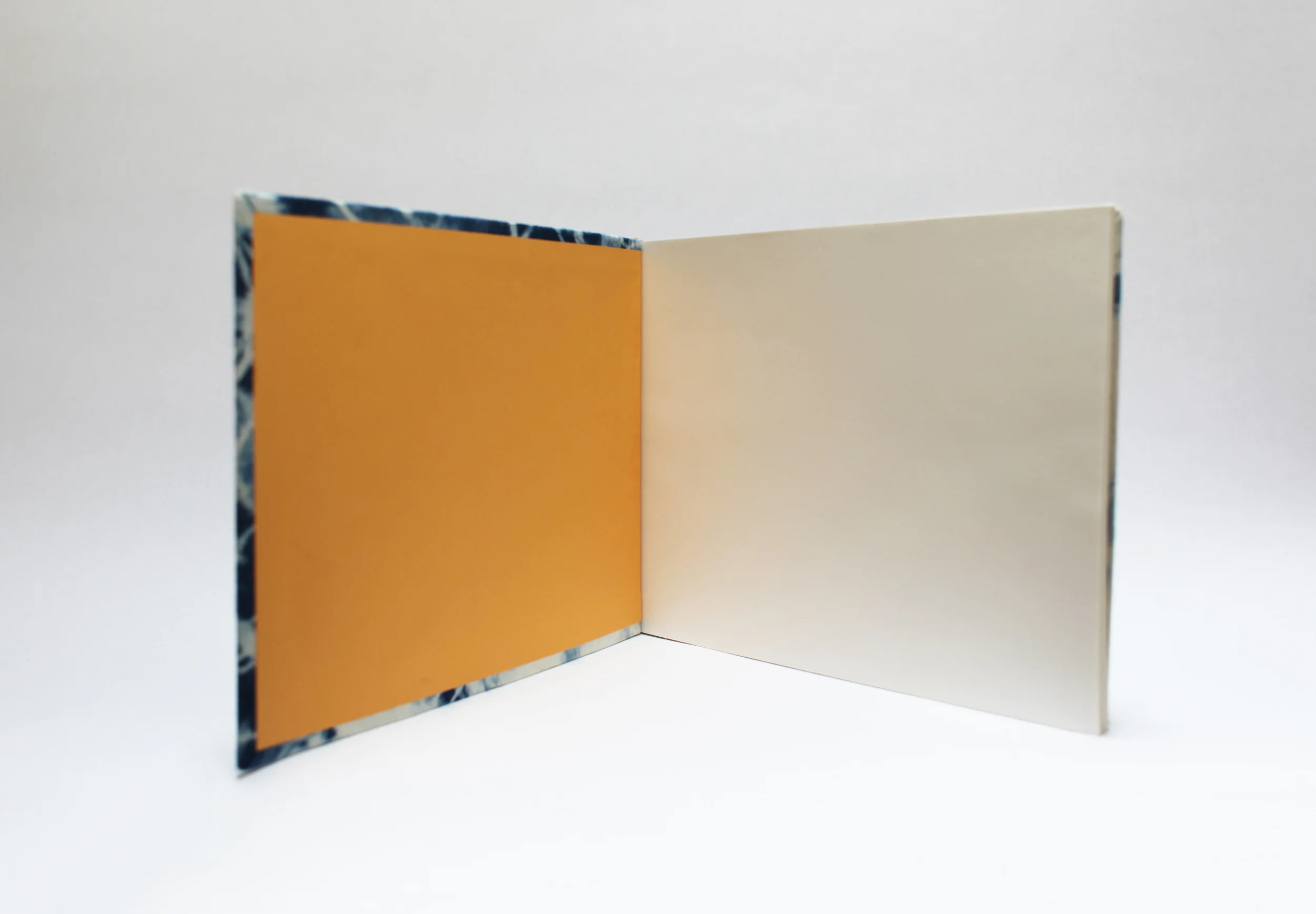 books-main-shibori4.jpg