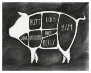 pig-illustration web.jpg