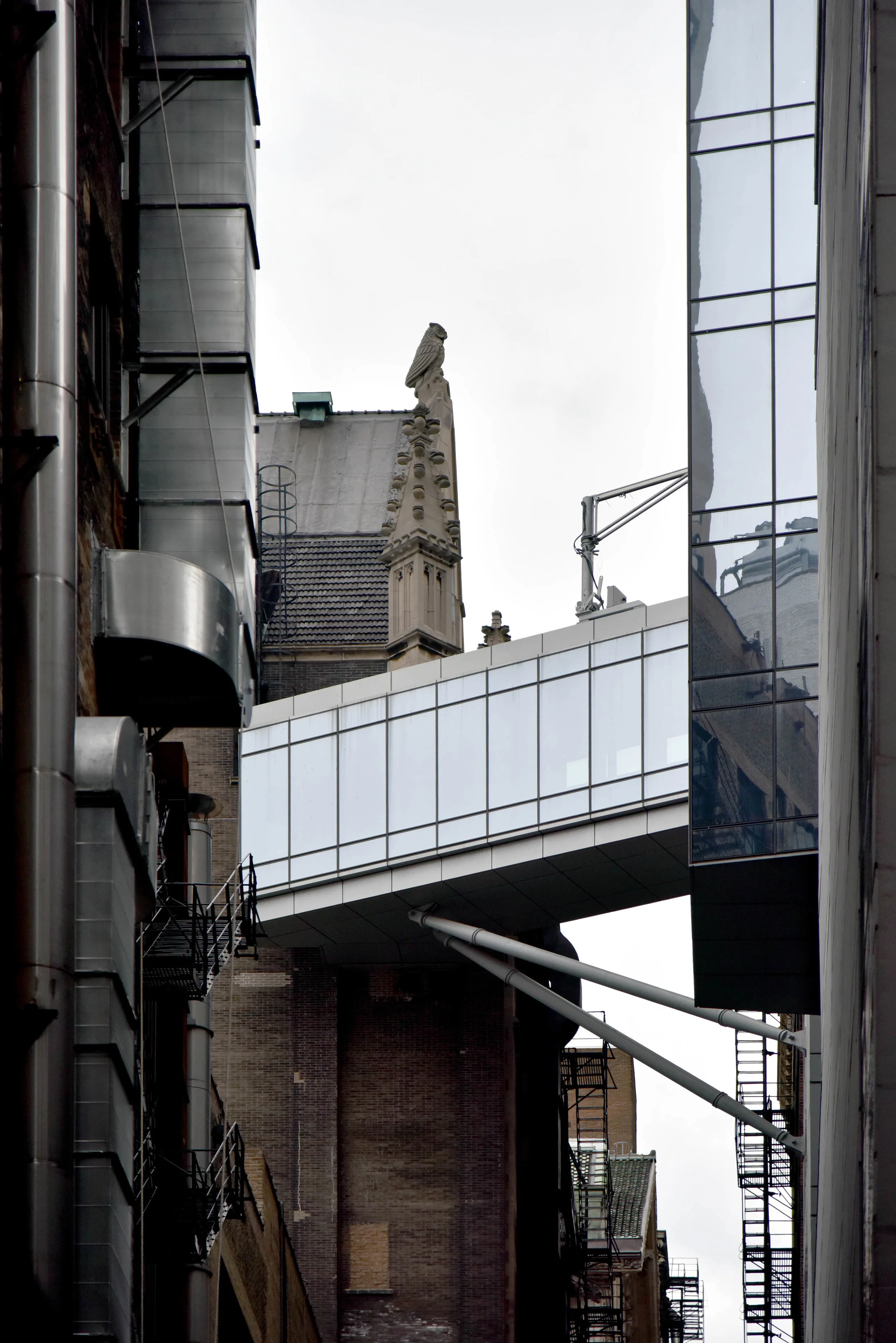 DSC_3796-2.jpg