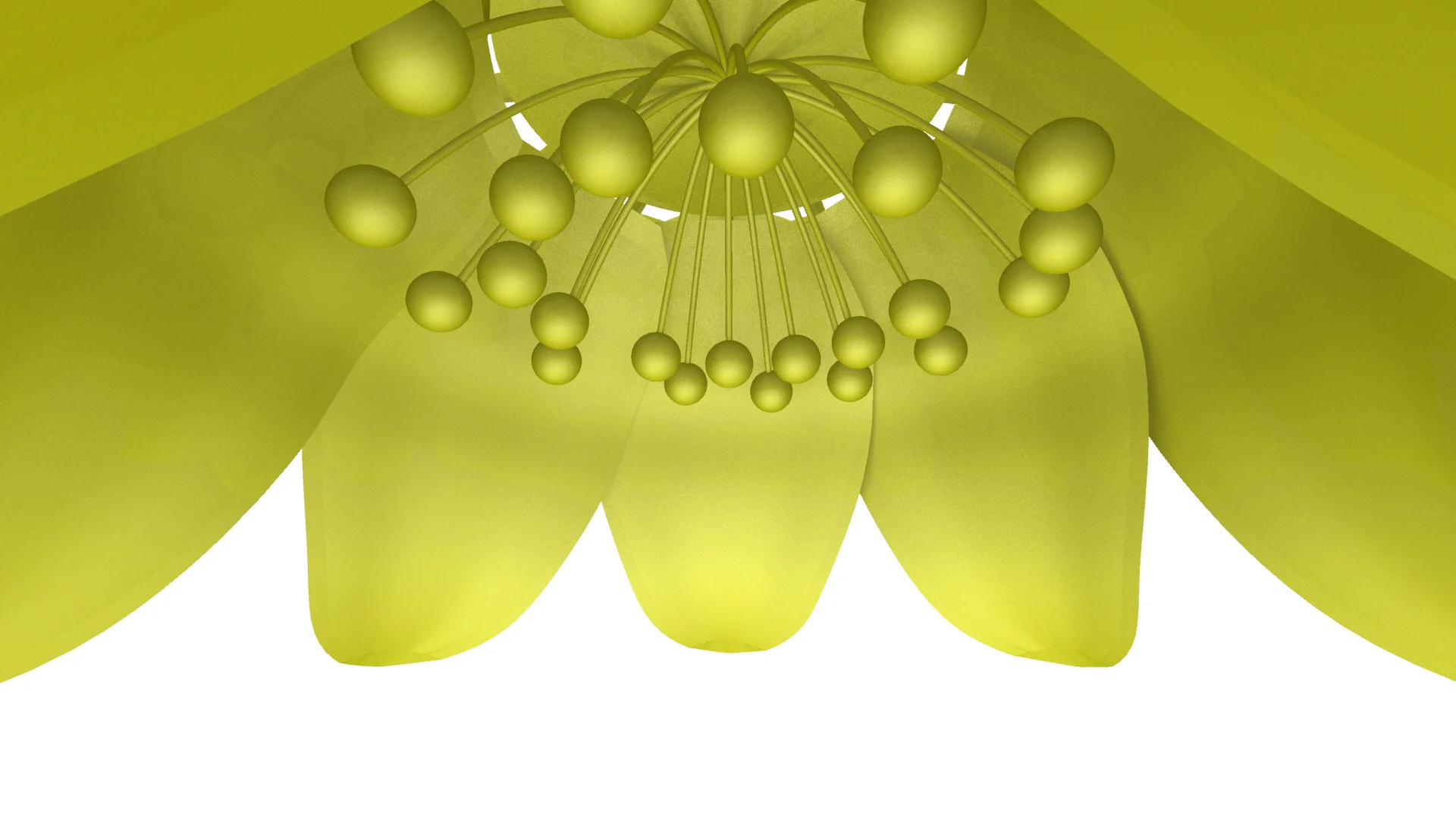 Pre-Fabrication Visualizations