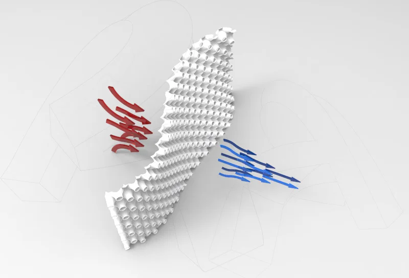 Snake Skin Diagram