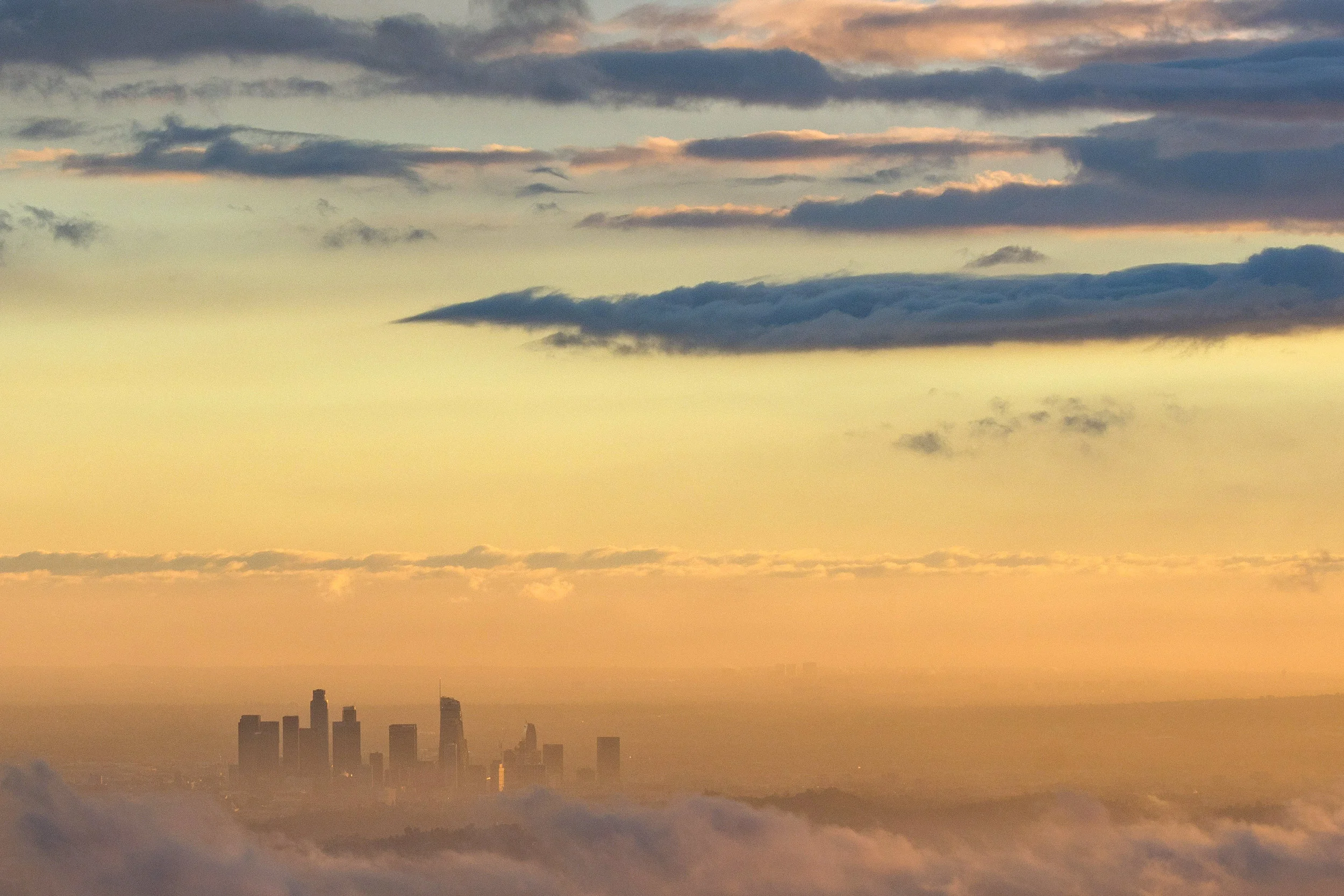 Lawrence Vaughan Griffin - Not in a plane.jpg