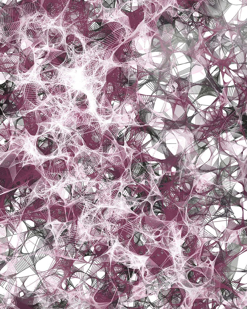 Confusion+closeup.jpg
