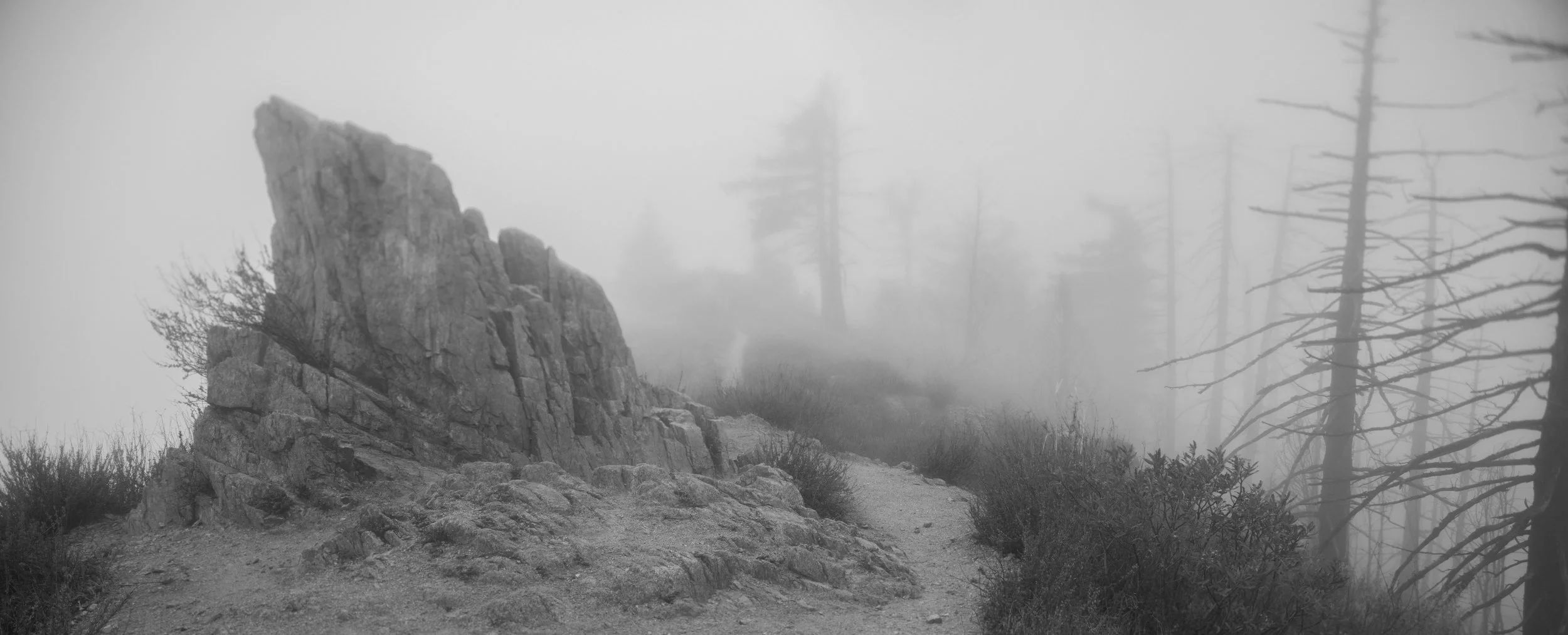 Untitled_Panorama2.jpg