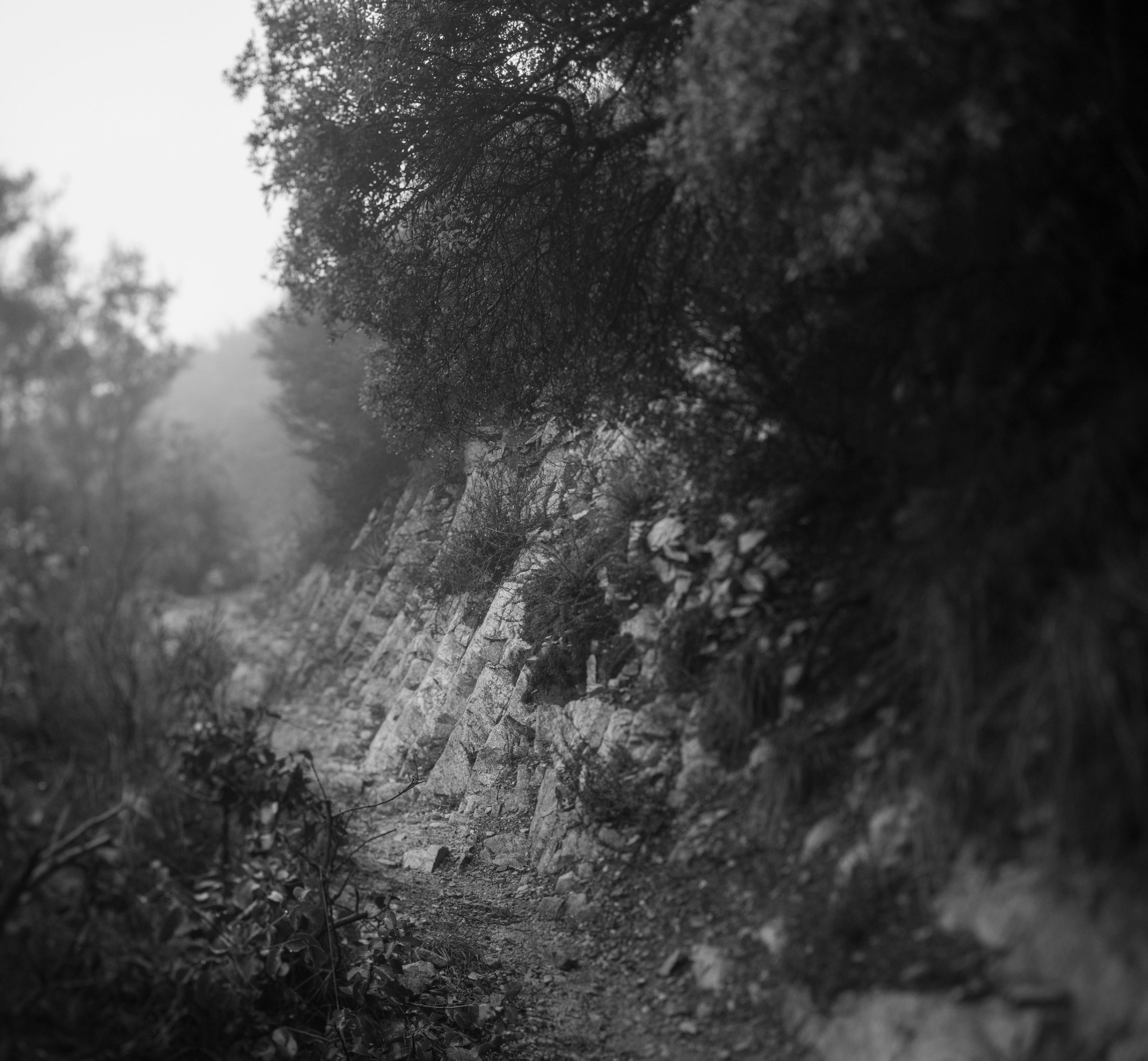 Untitled_Panorama8.jpg