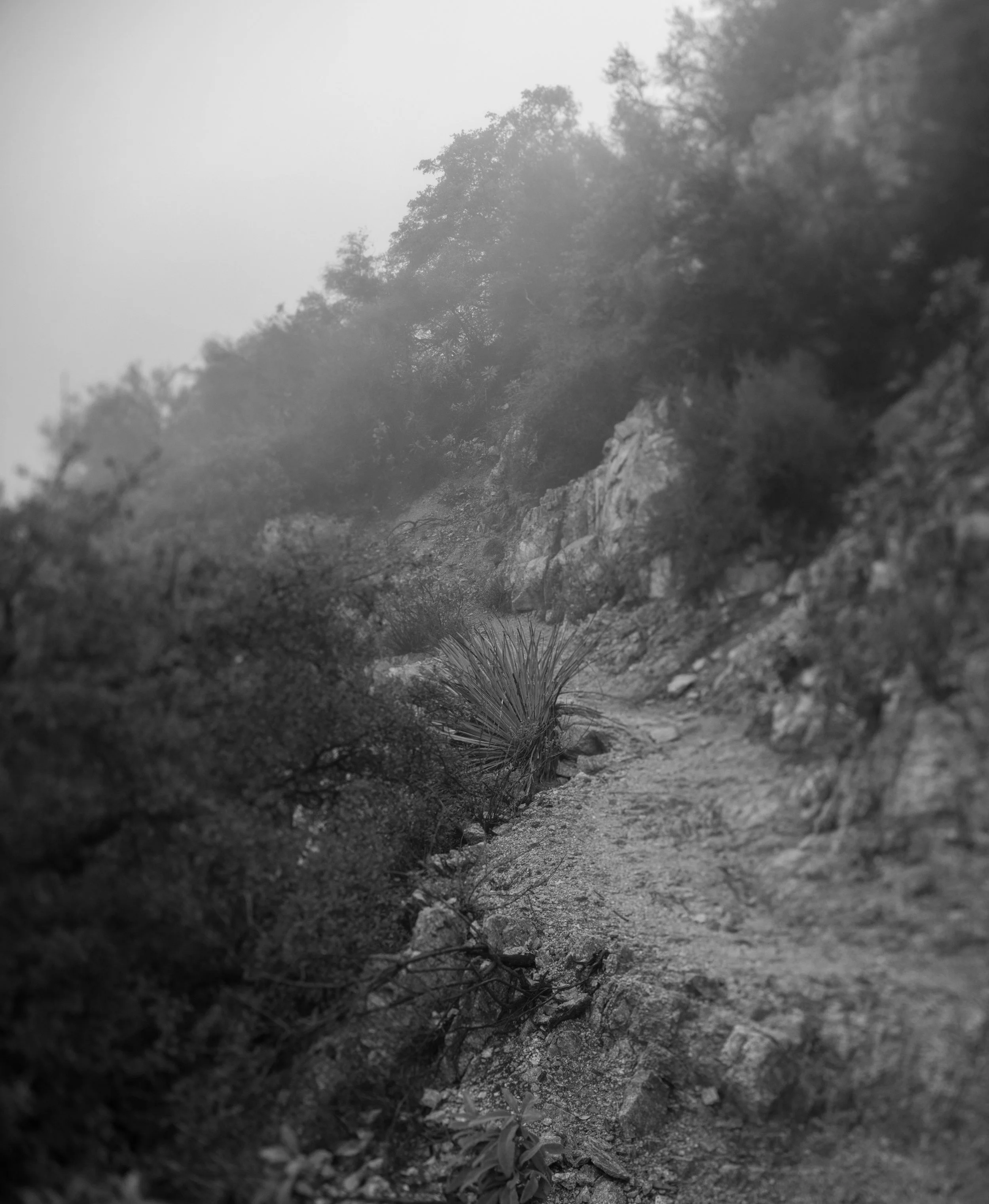 Untitled_Panorama6.jpg