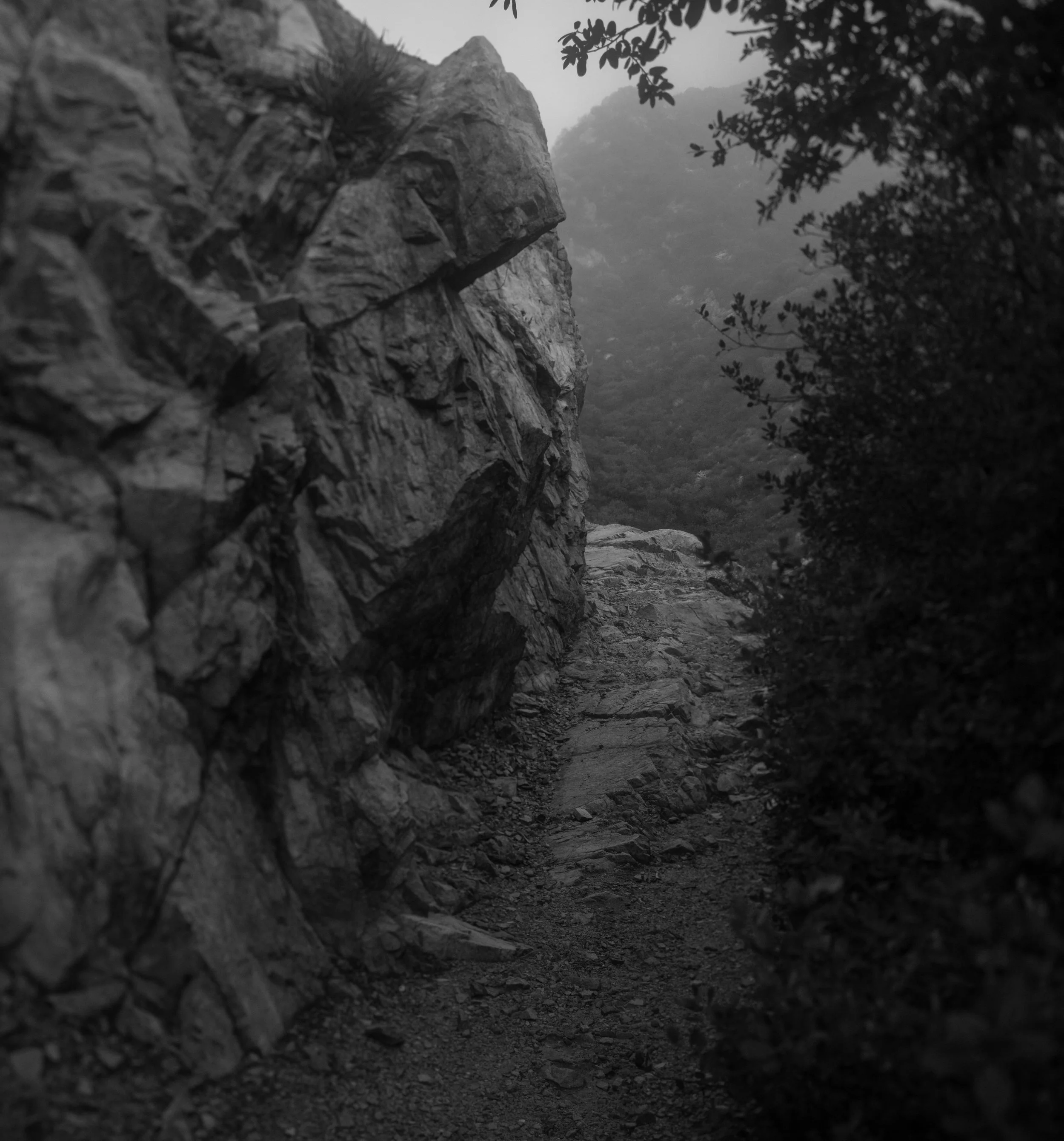 Untitled_Panorama10.jpg
