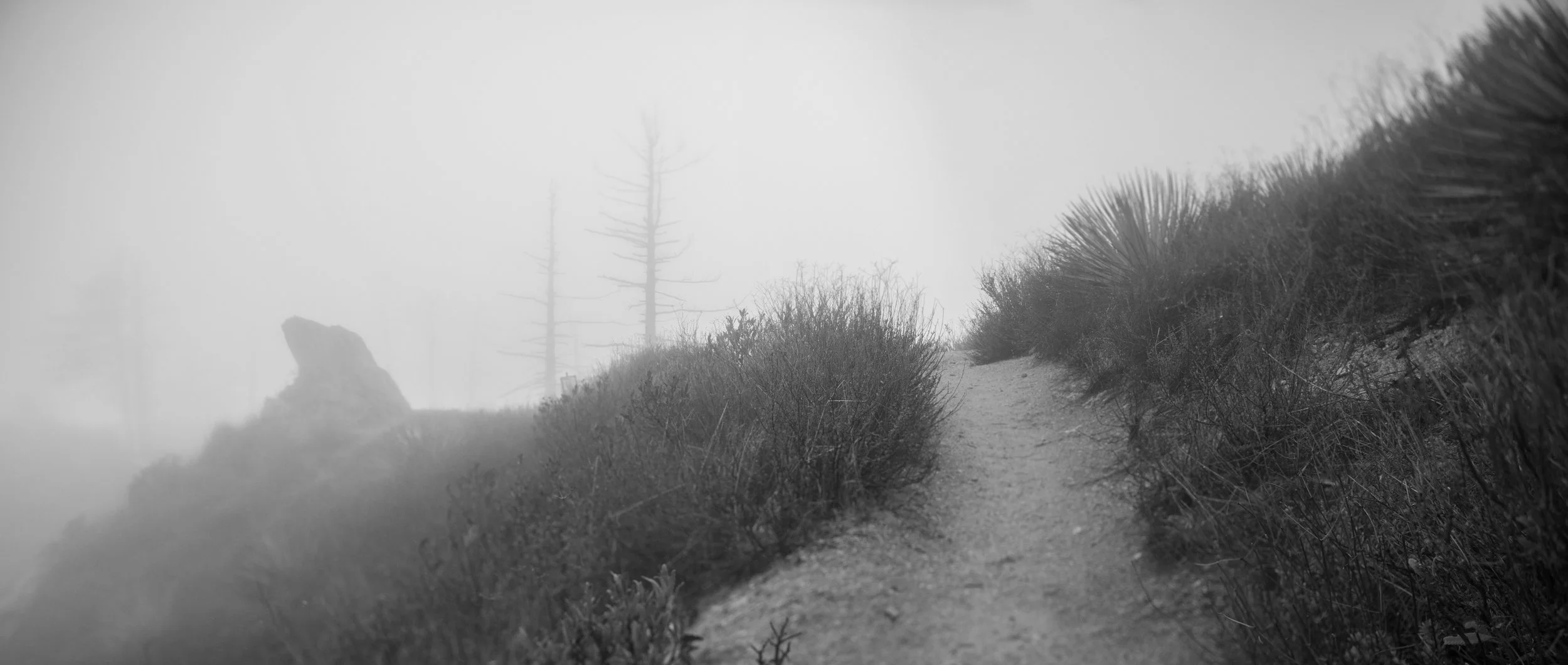Untitled_Panorama12.jpg