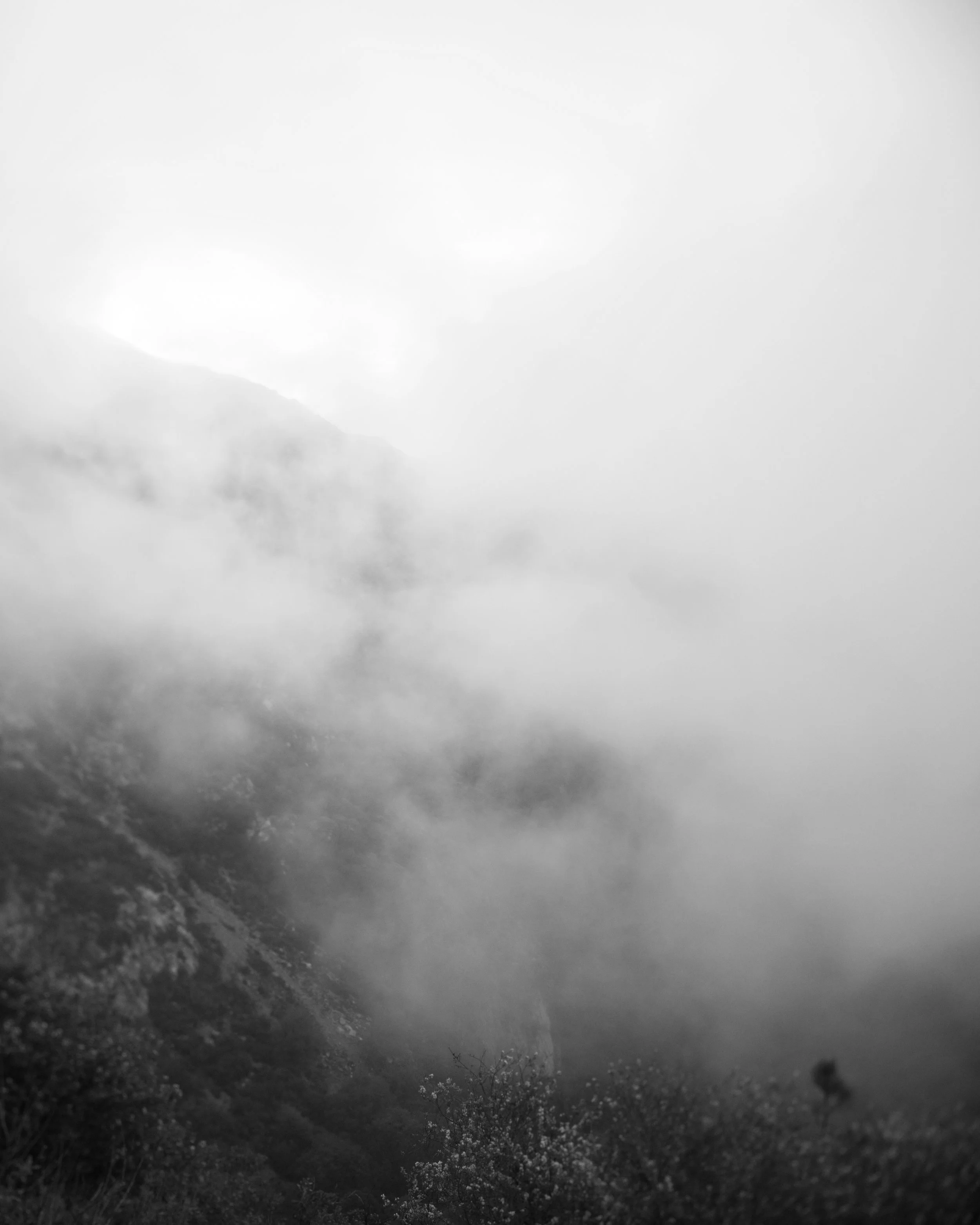 Untitled_Panorama14.jpg