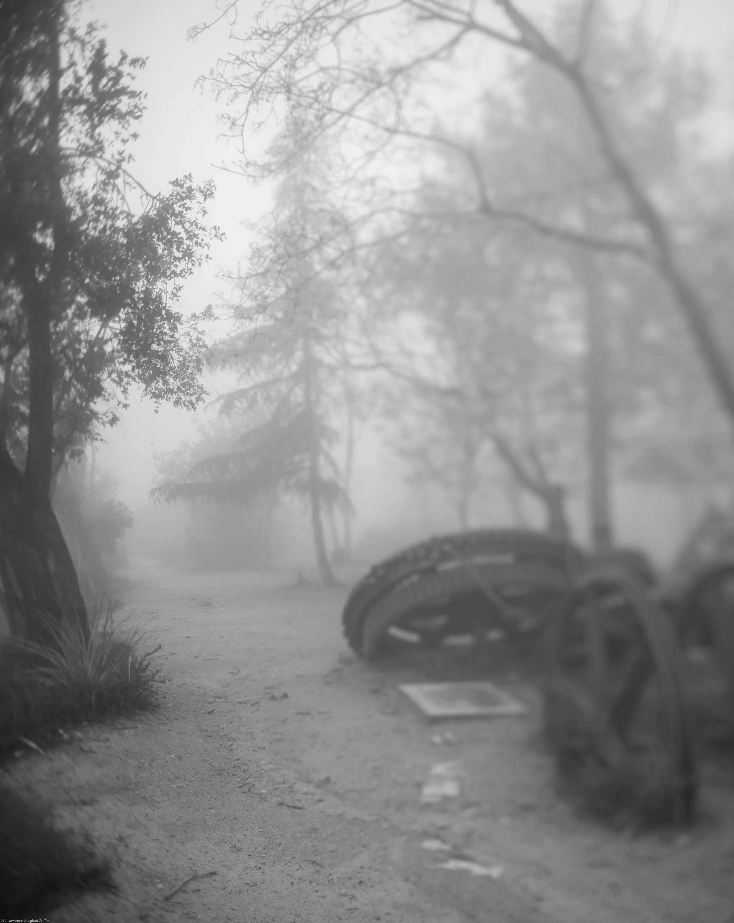 Untitled_Panorama16.jpg