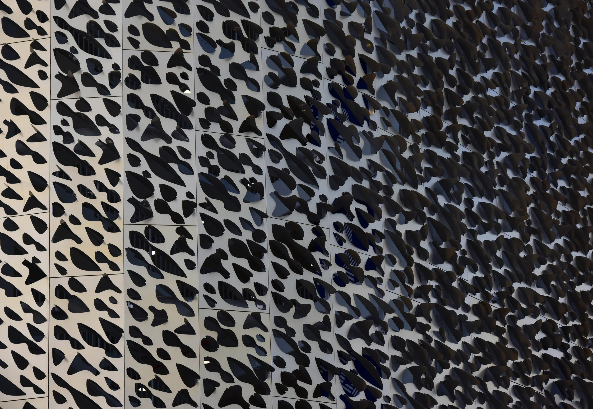 LVG-DSC_0373-Drips.jpg