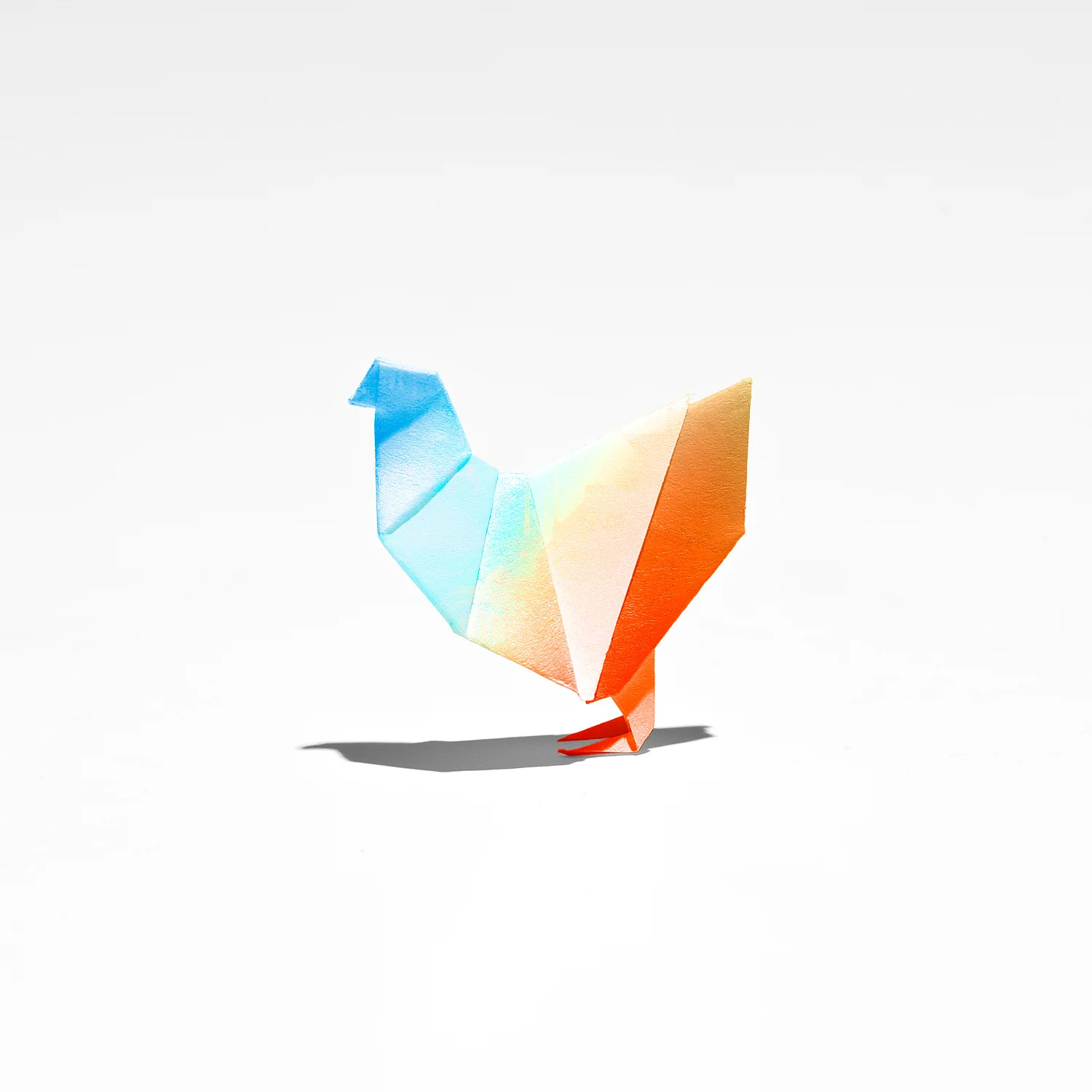 Testing_300312_Craig-0096.jpg