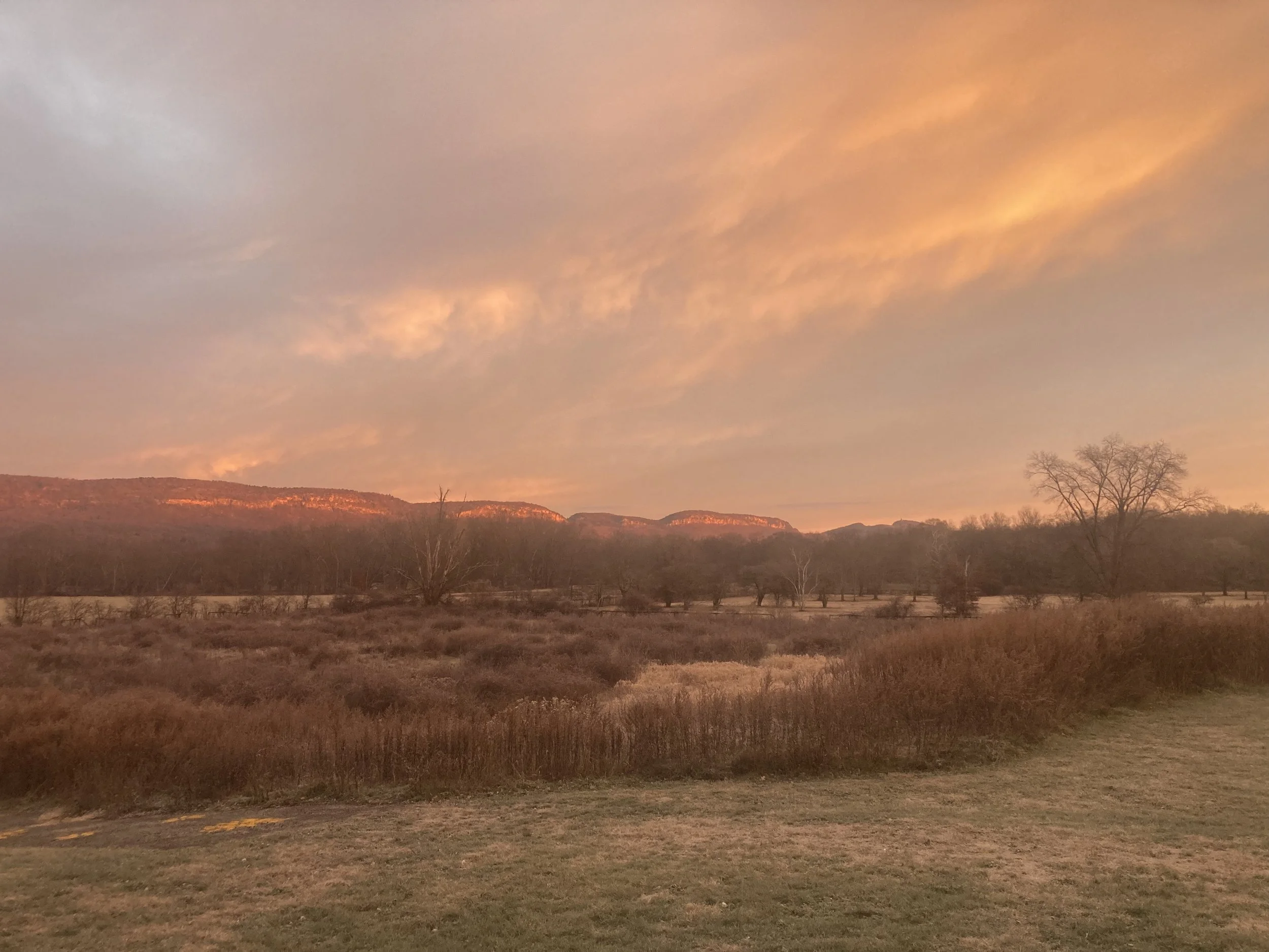 yoga retreat at Groundworks in Gardiner, NY with Sarah Capua