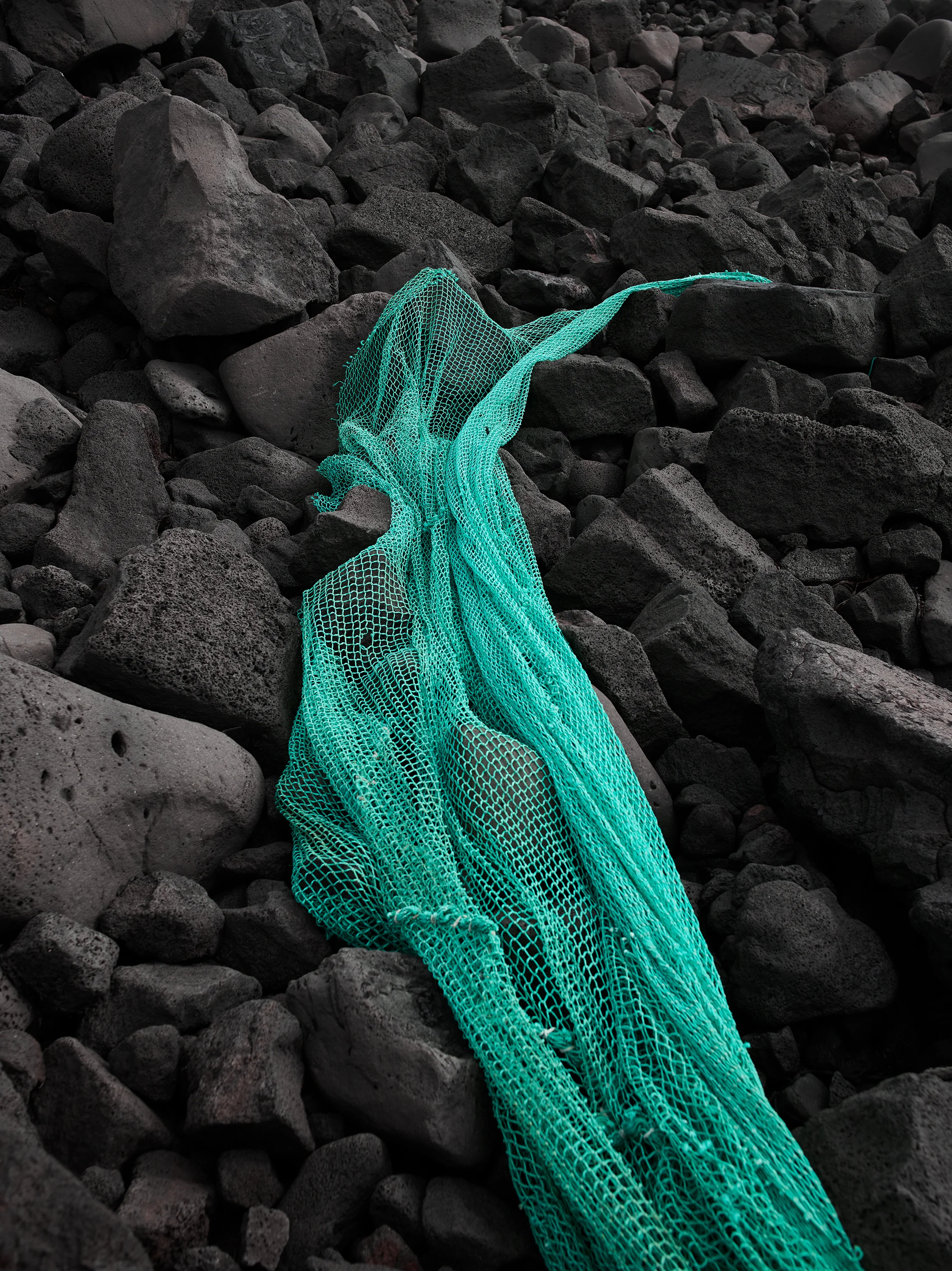 CF015554.jpg
