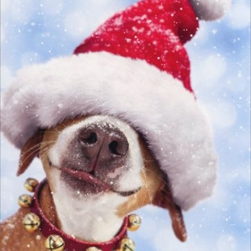 'Tis the Season of Giving 