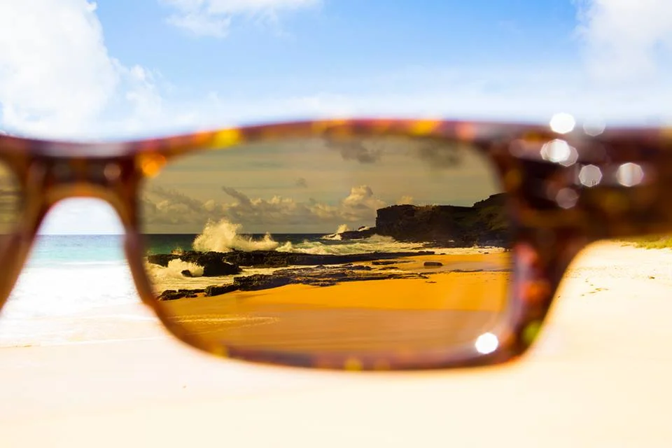 Find Clarity Through a New Pair of Maui Jim Sunglasses